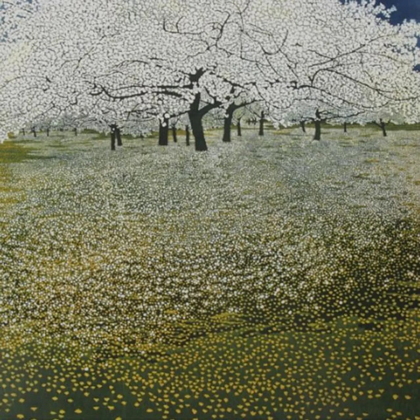 Tony Pagliuca Brand Page