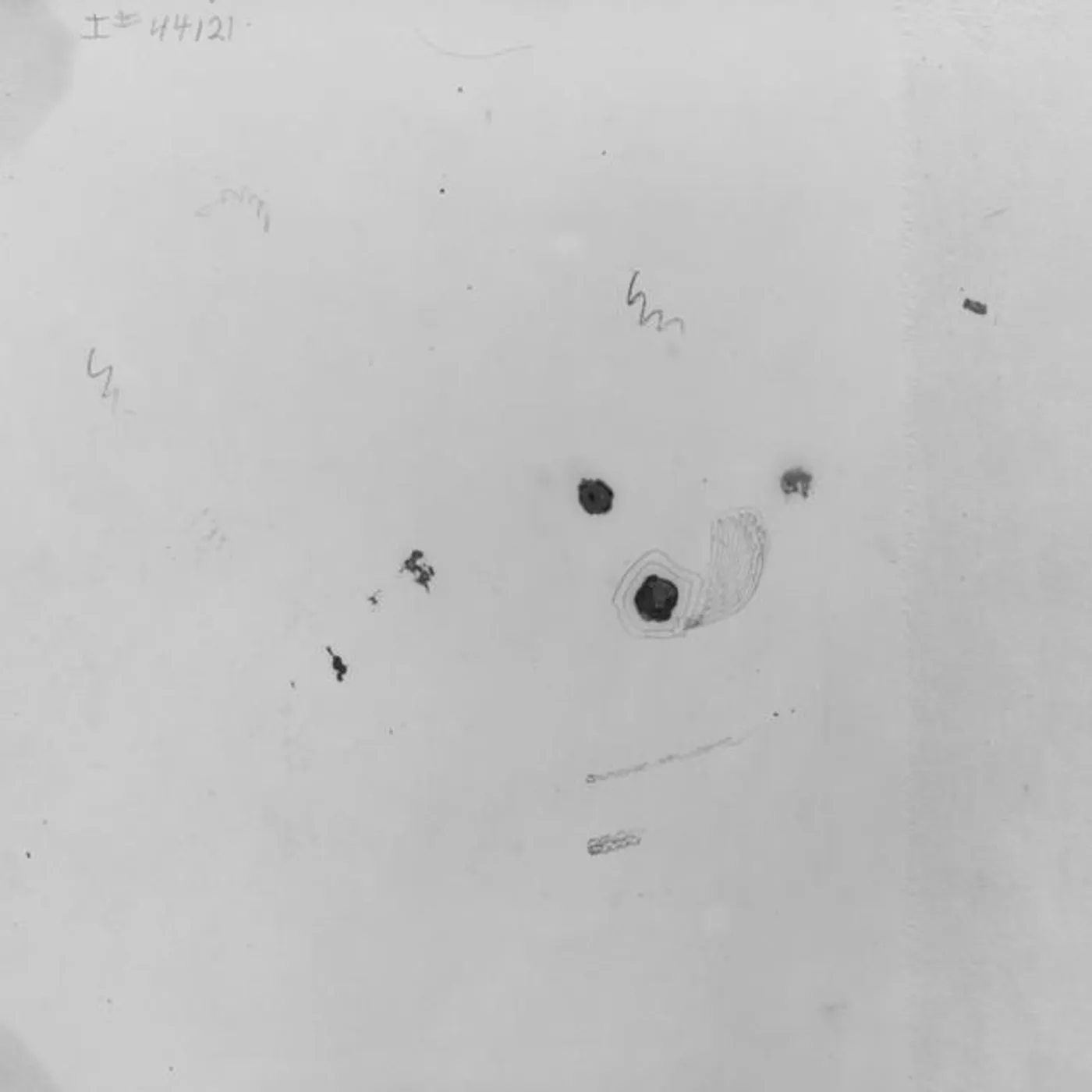 Tooth Choir Brand Page