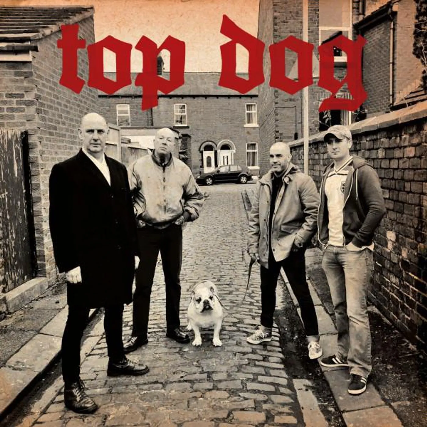 Top Dog Brand Page