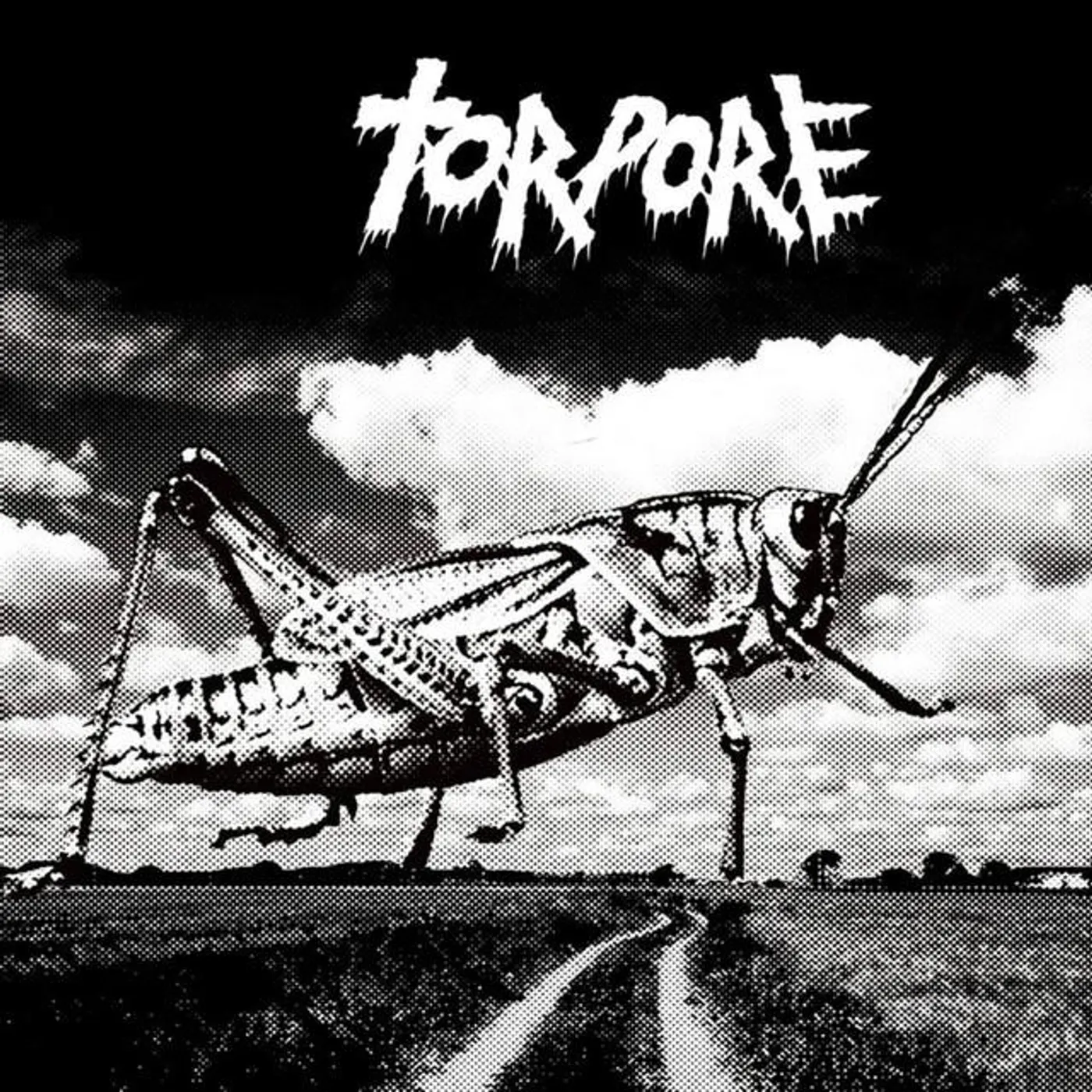 Torpore Brand Page