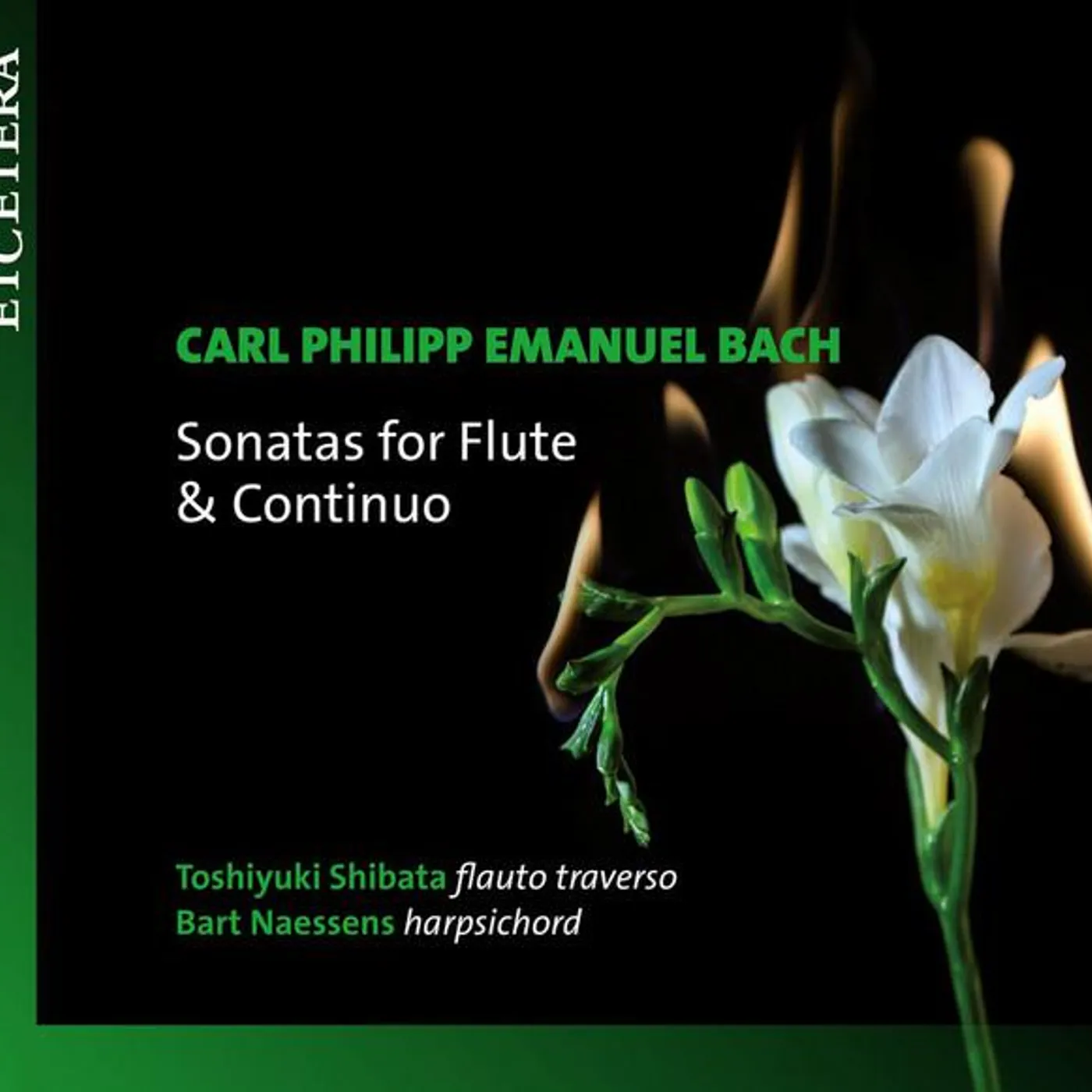 Toshiyuki Shibata Brand Page