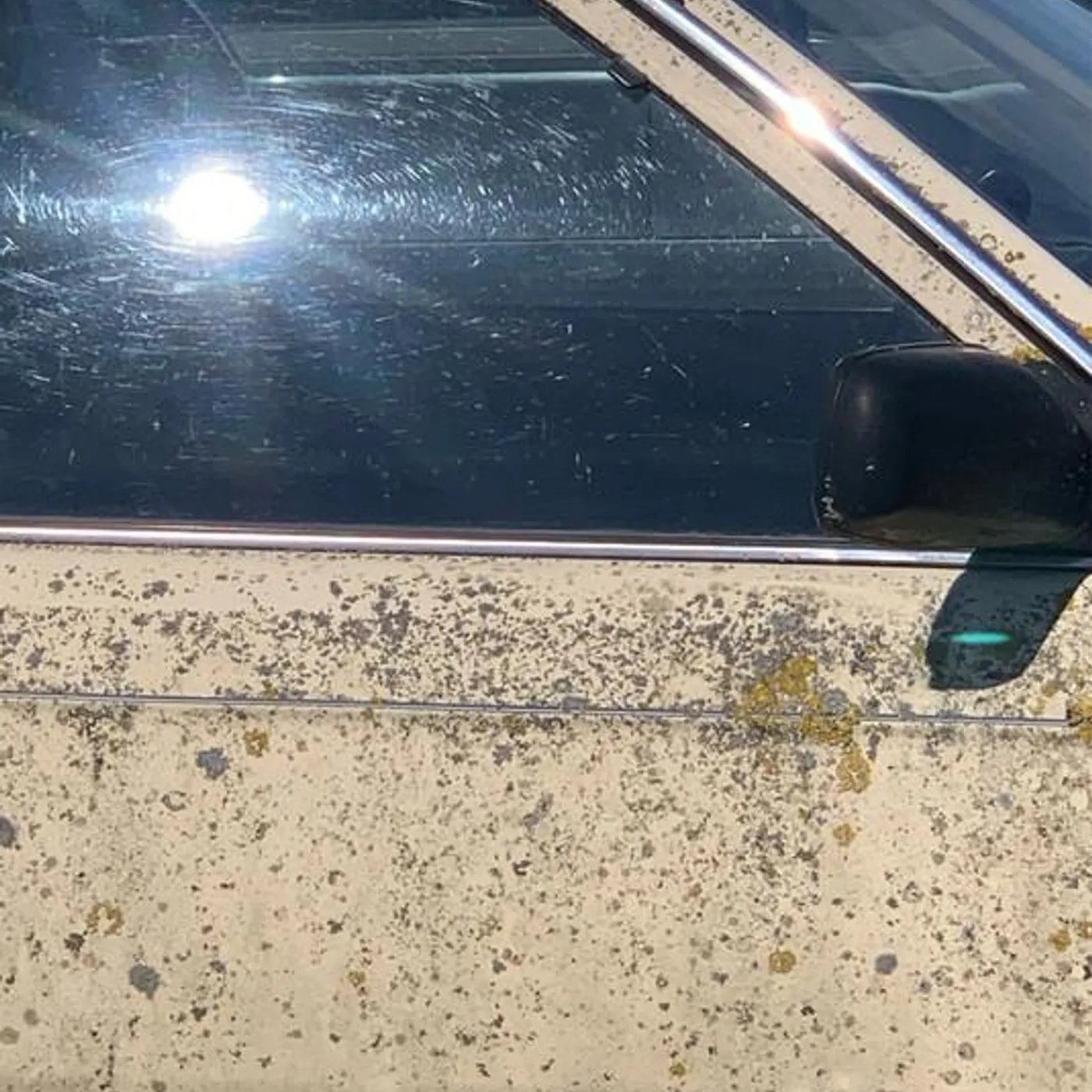 Taylor Moon Brand Page