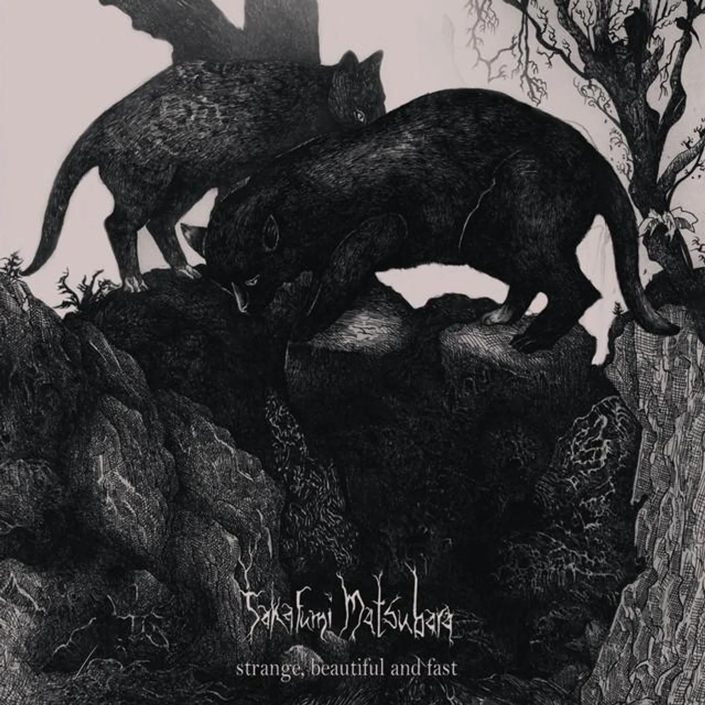 Takafumi Matsubara Brand Page