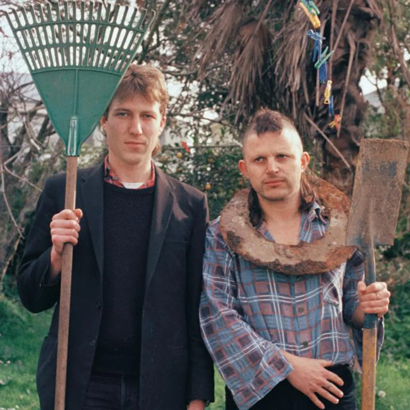 Tall Dwarfs Brand Page