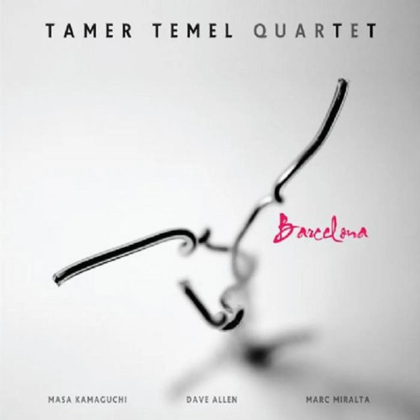 Tamer Temel Quartet