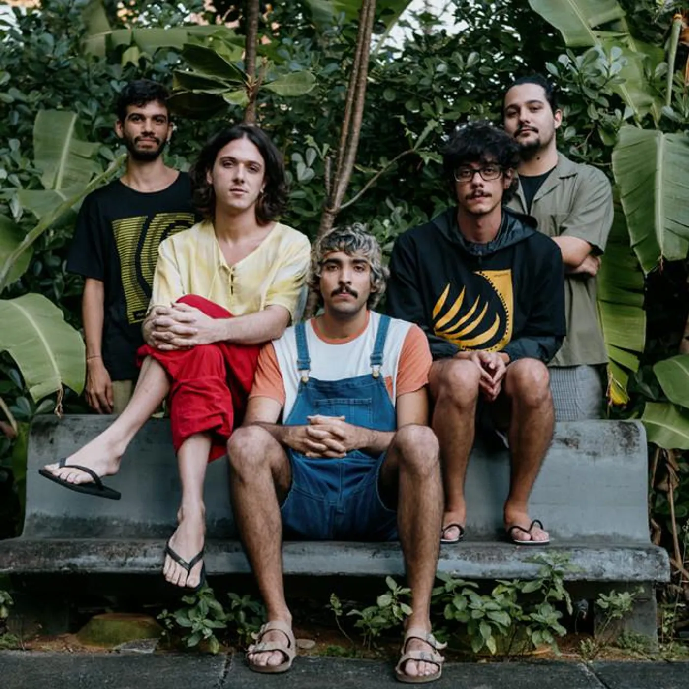 Tangolo Mangos Brand Page