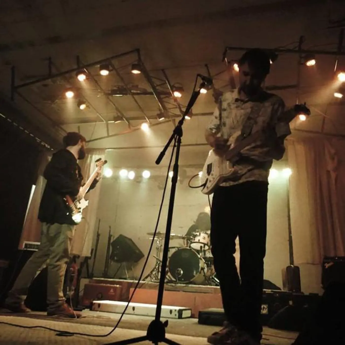 Tapwater Shrimp Brand Page