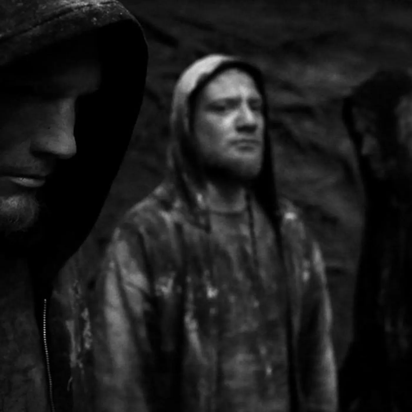 Tardigrada Brand Page