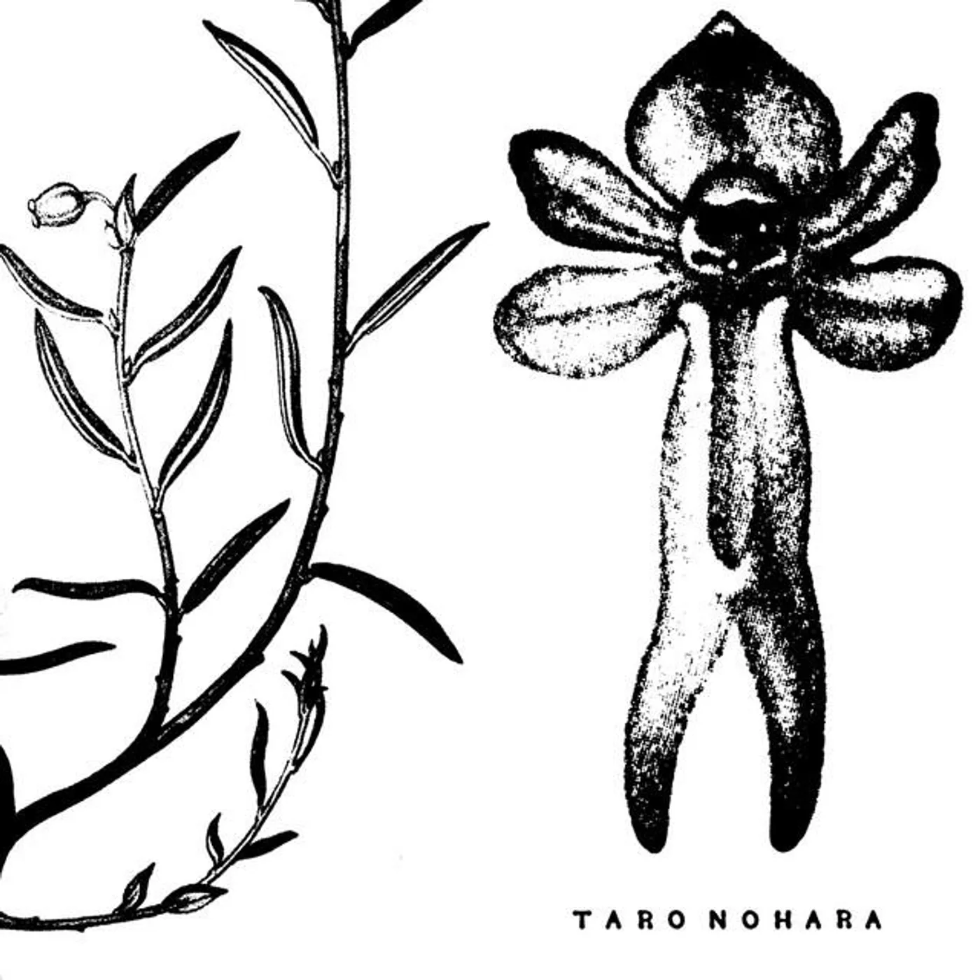 Taro Nohara