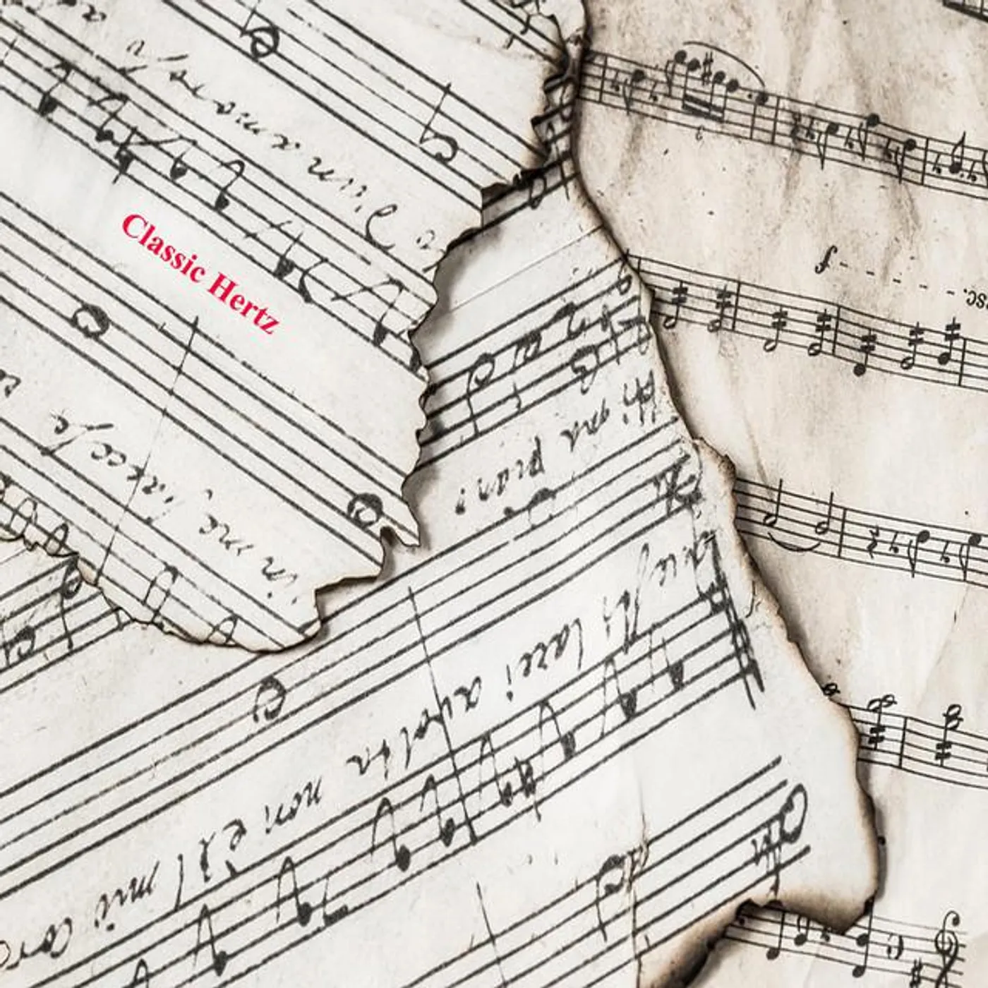 Tchaikovsky Chamber Orchestra