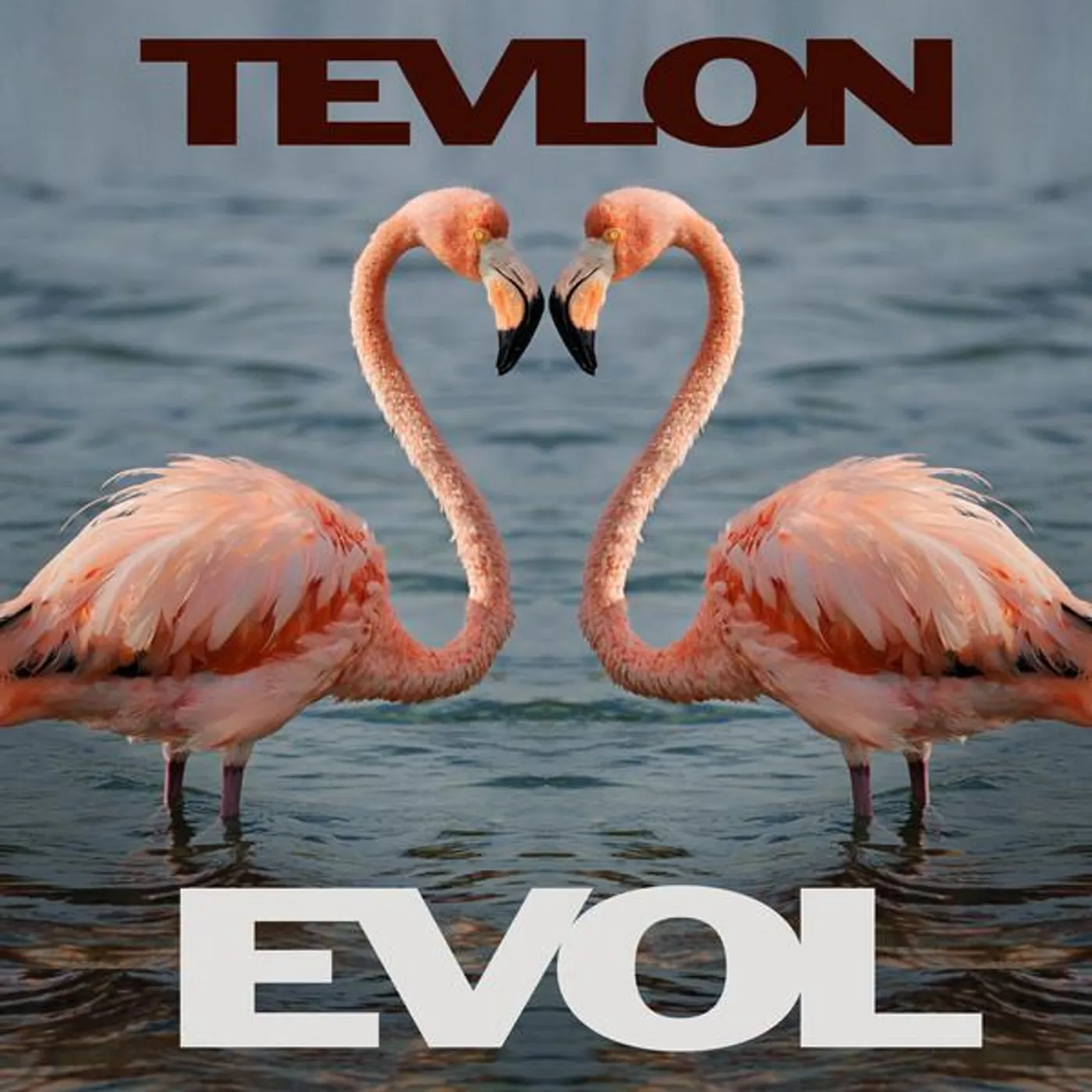 Tevlon Brand Page