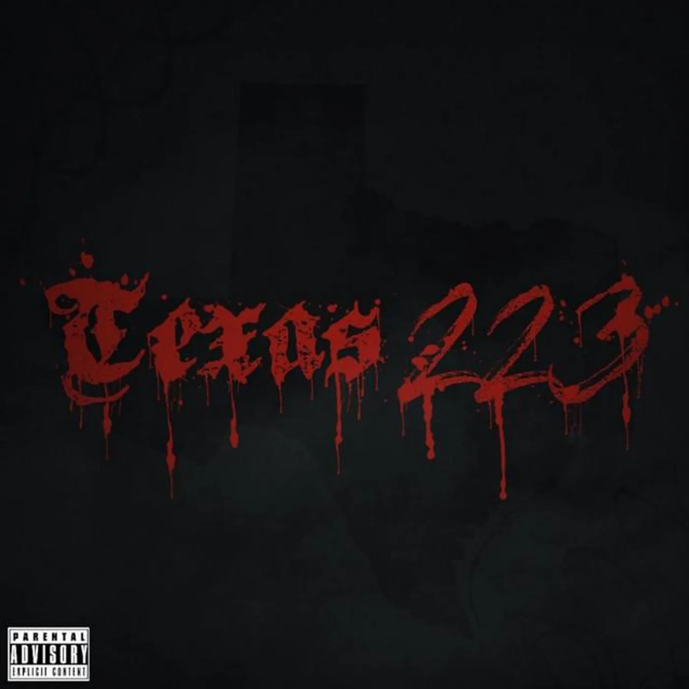 TEXAS 223
