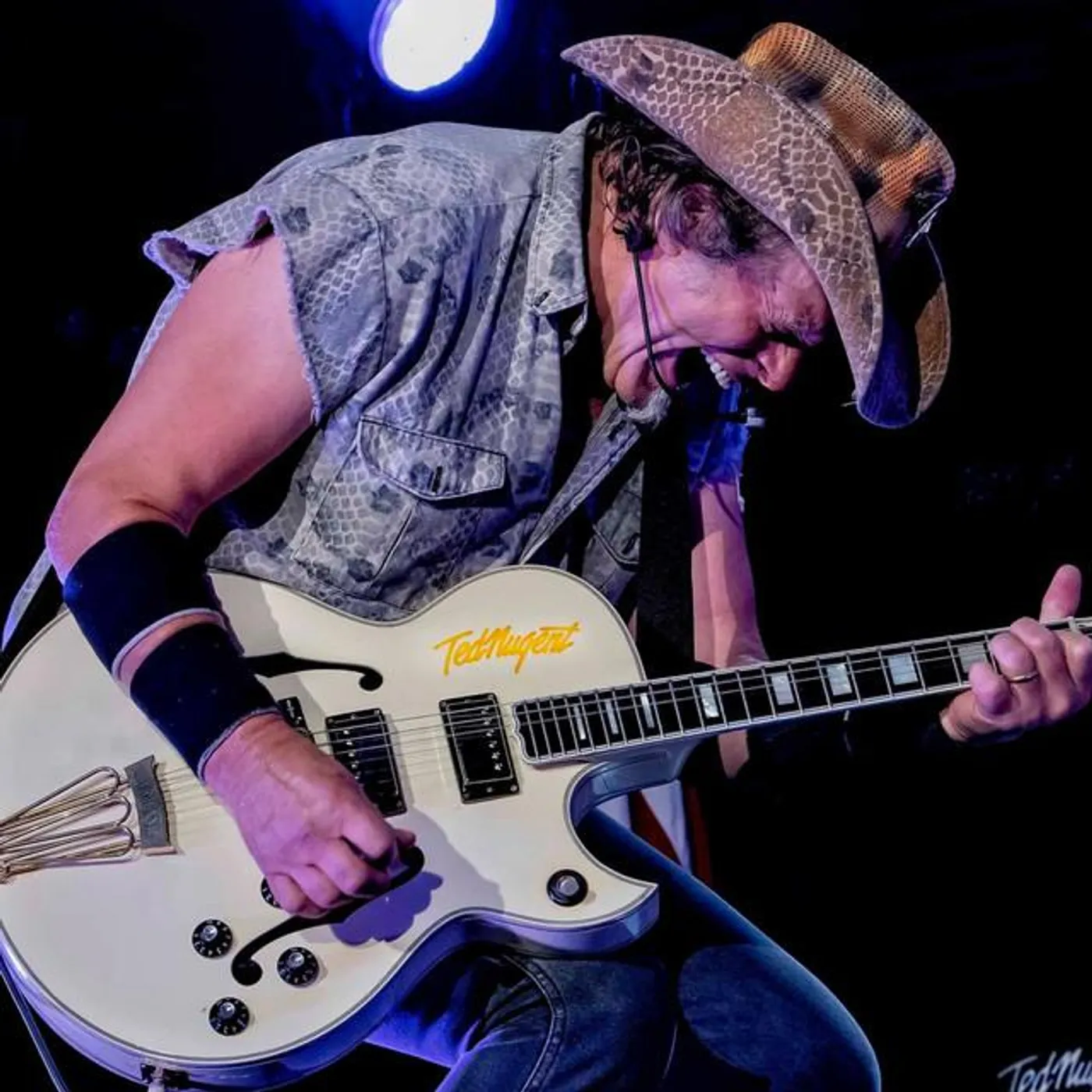 Ted Nugent Brand Page