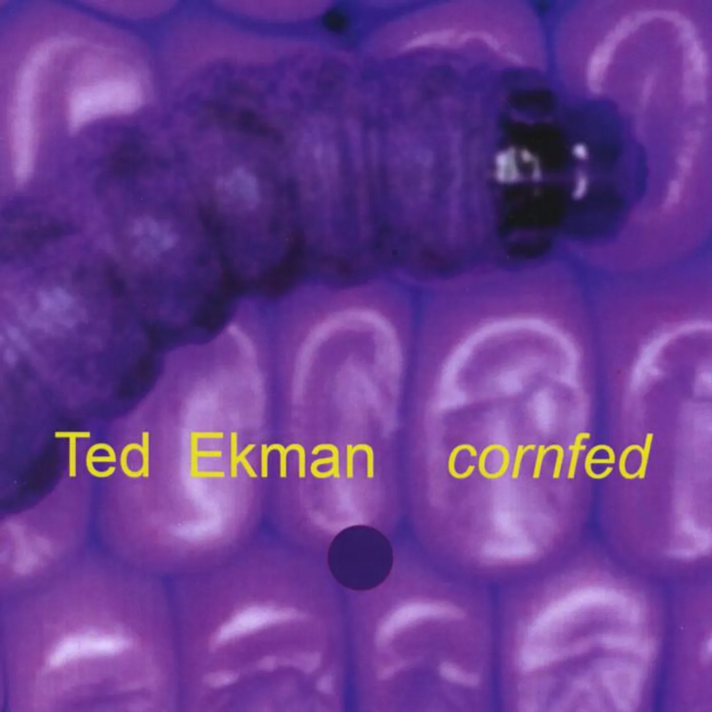 Ted Ekman