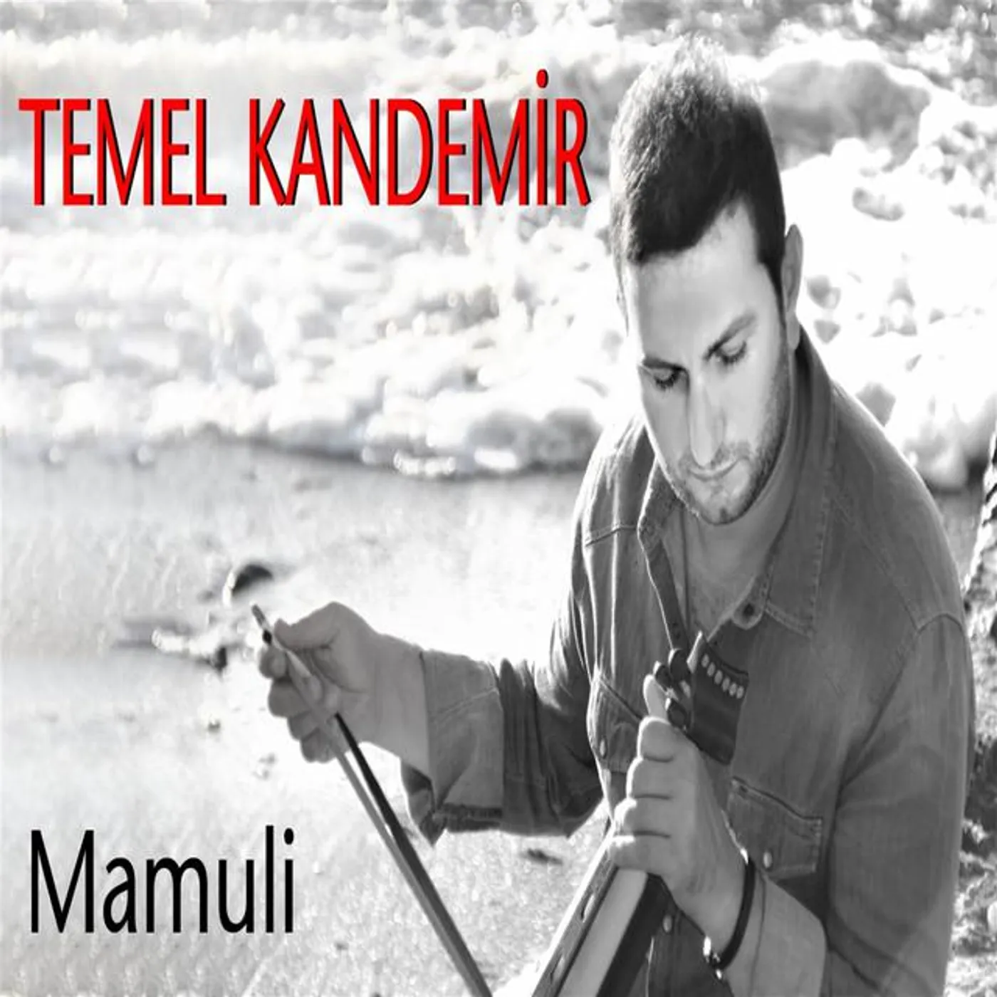 Temel Kandemir