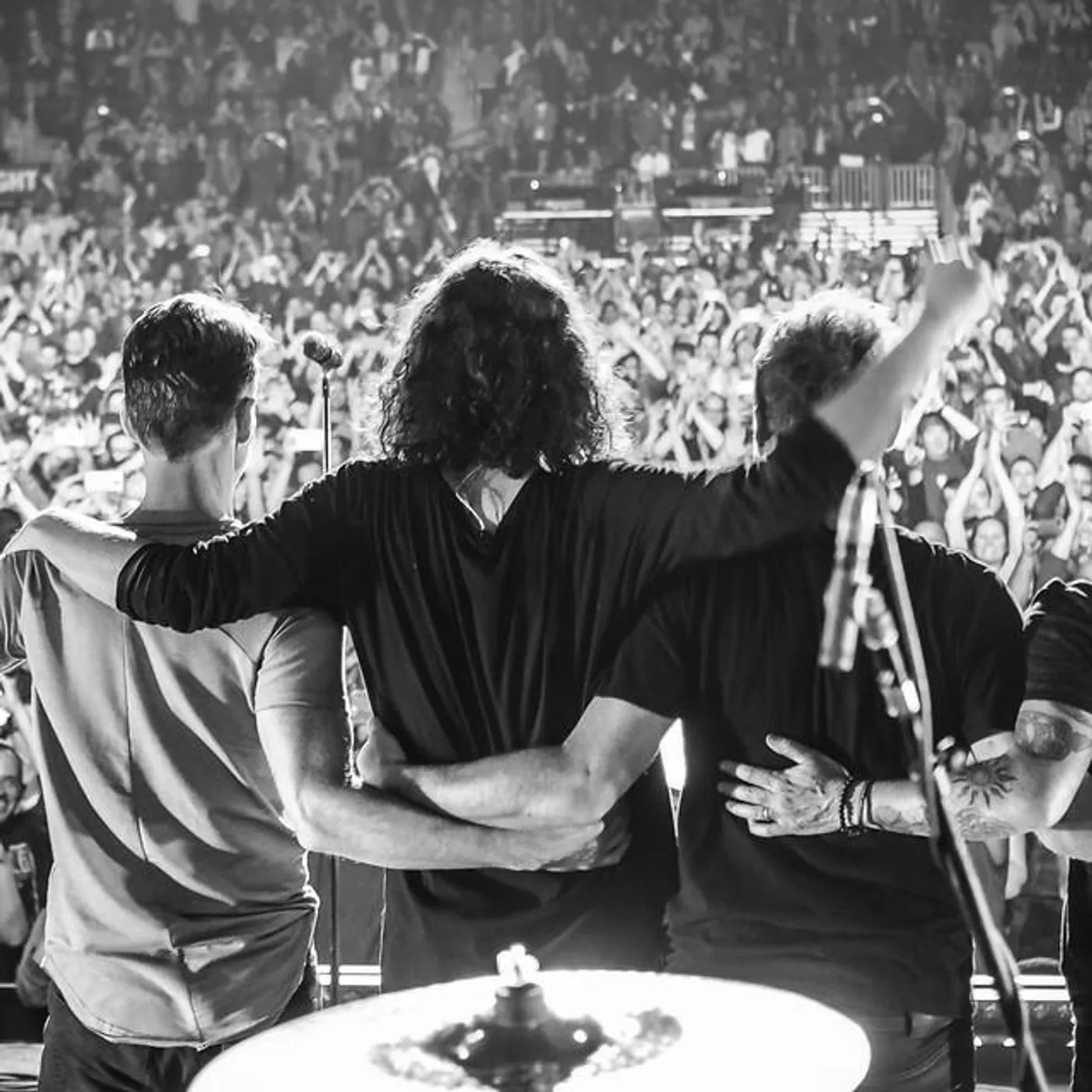 Temple Of The Dog Brand Page