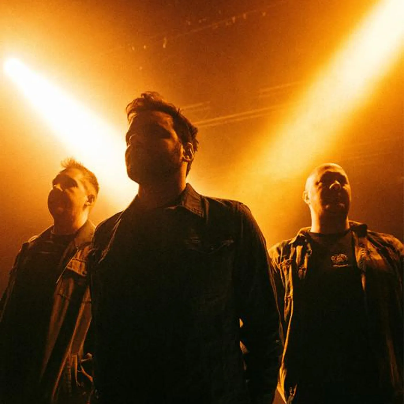 Templeton Pek Brand Page