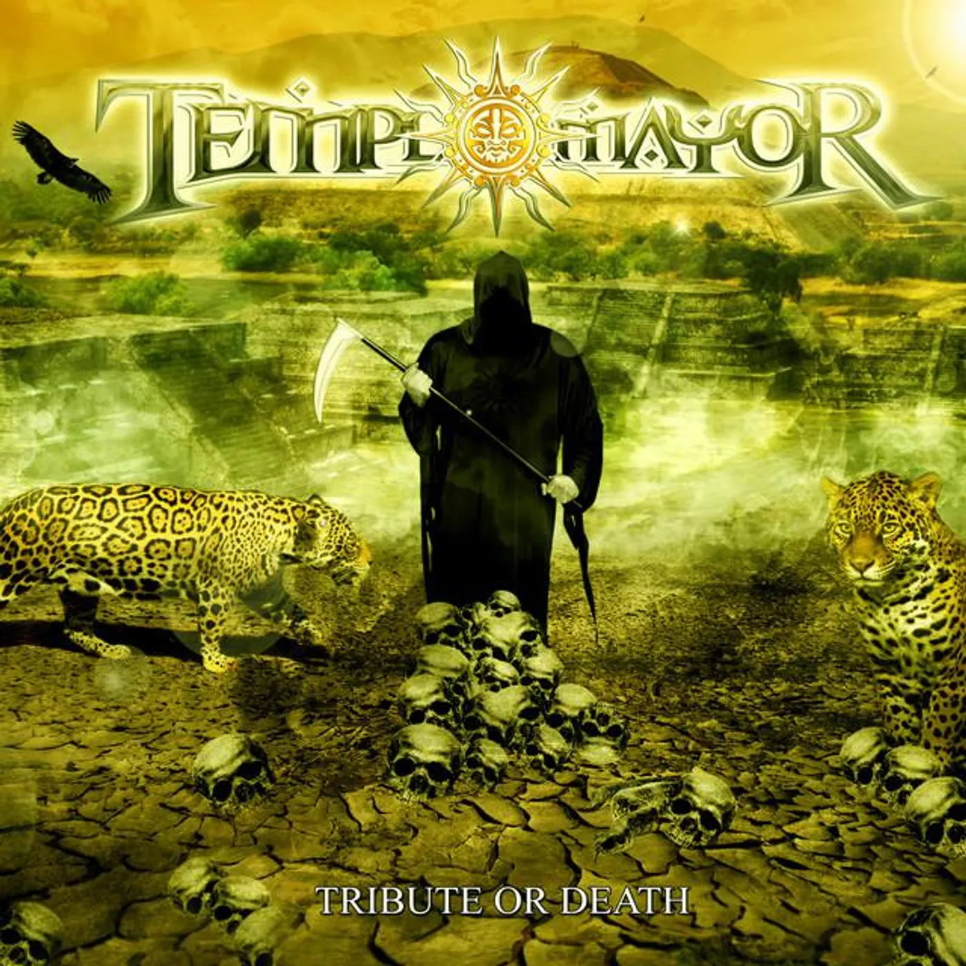 Templomayor Brand Page