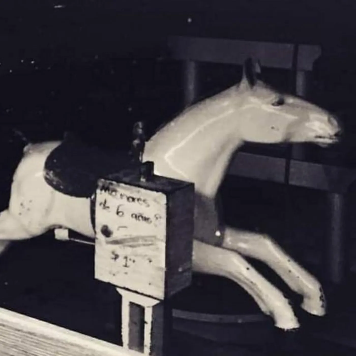 Teresa Cienfuegos y las Cobras