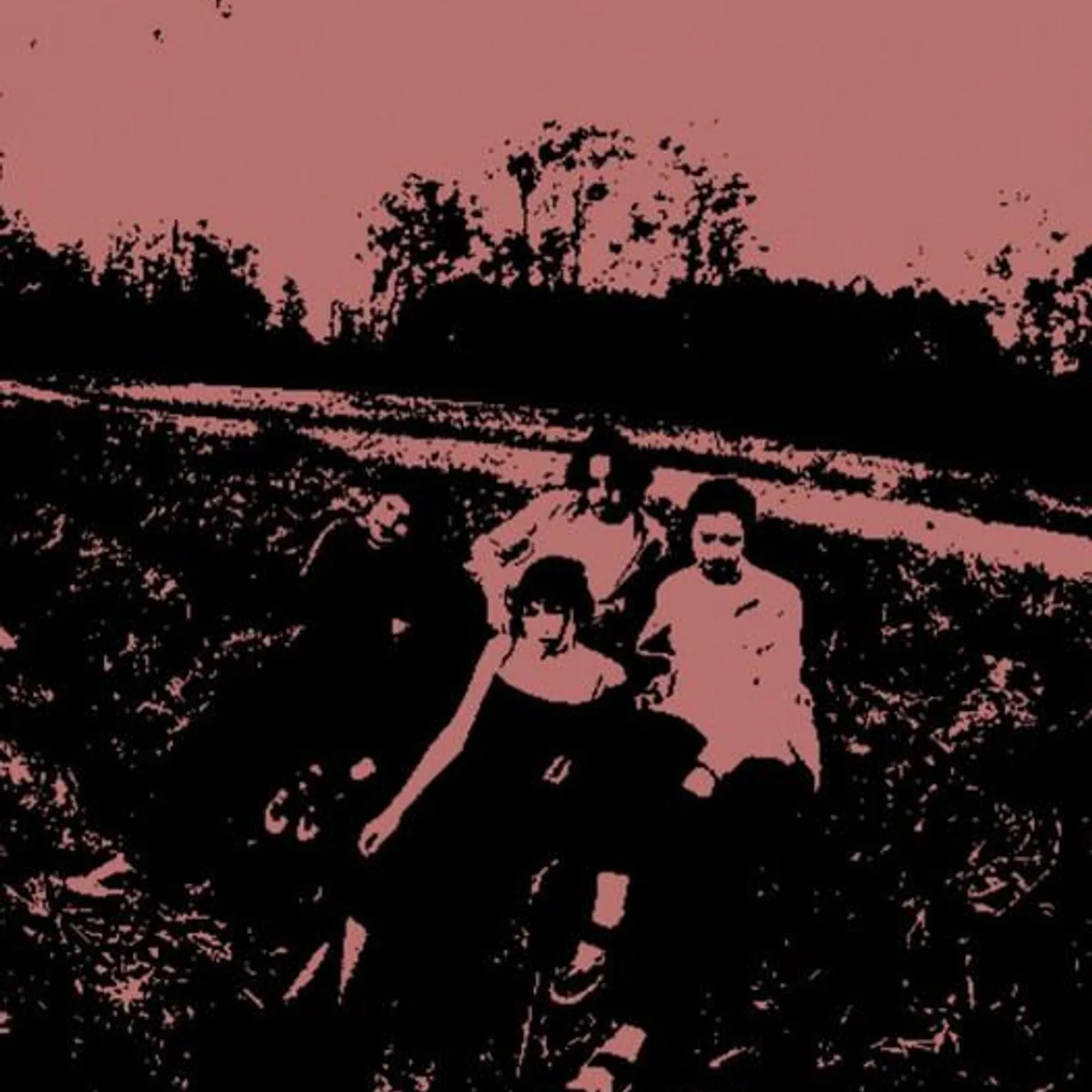 terraplana Brand Page