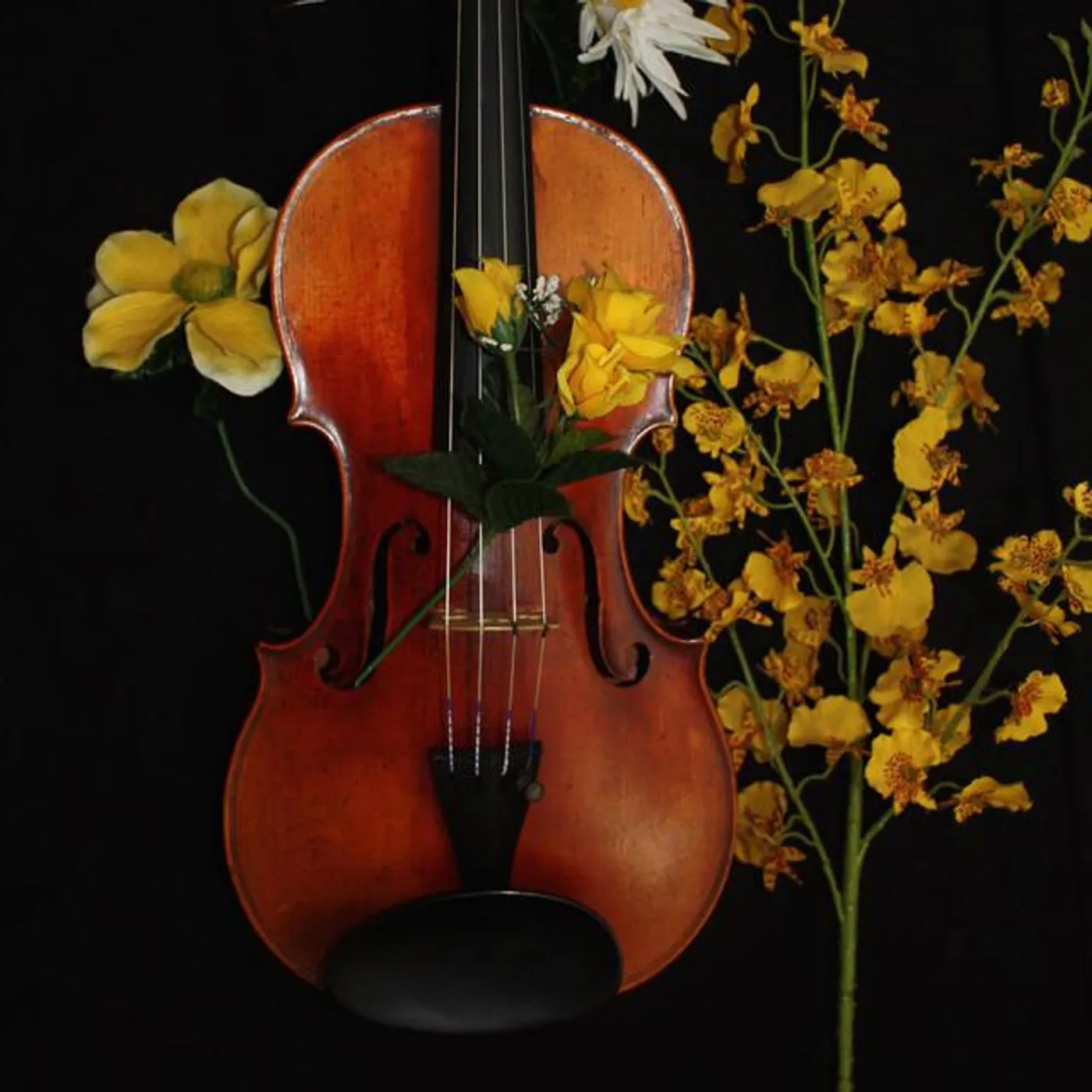 Terri Matheson Brand Page