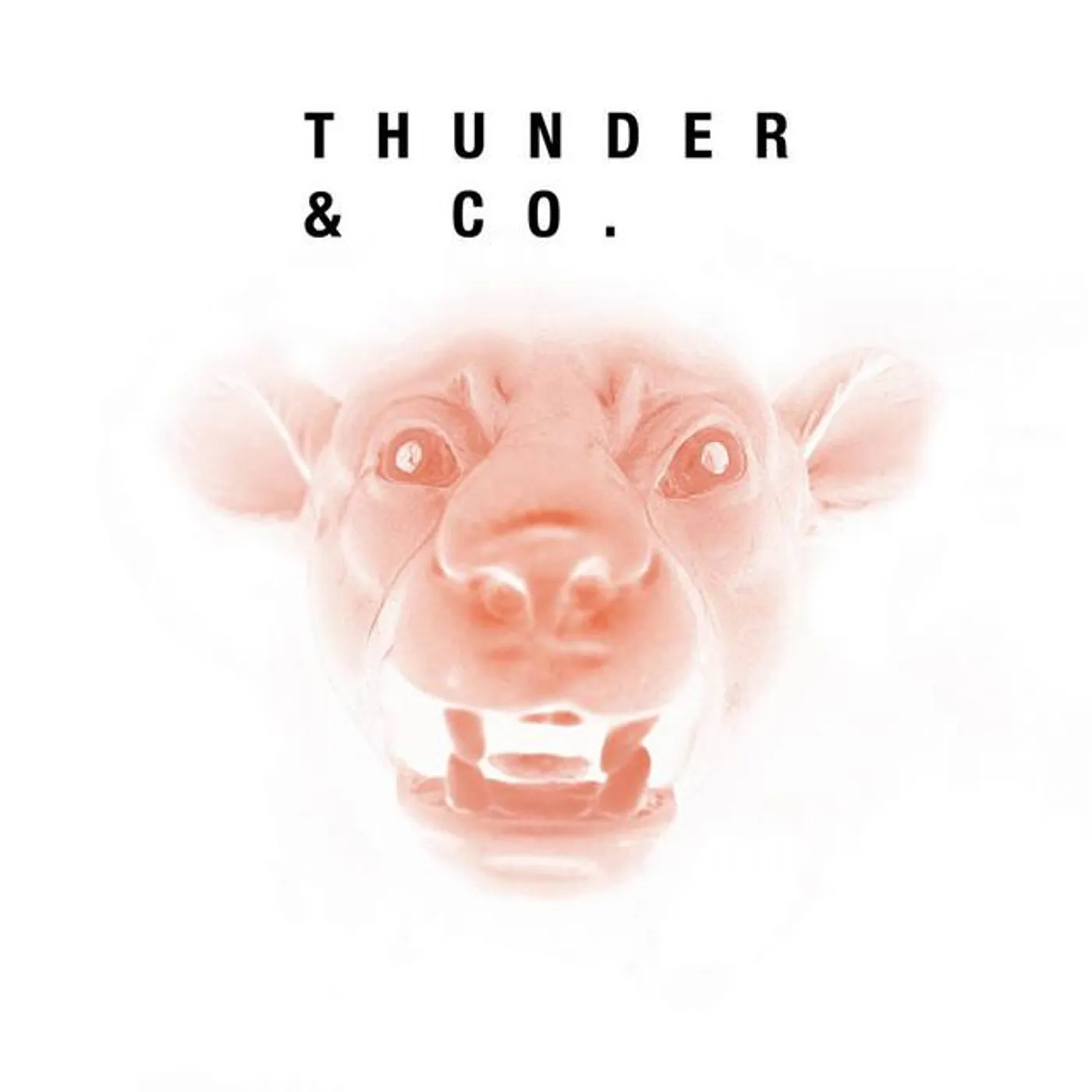Thunder & Co. Brand Page