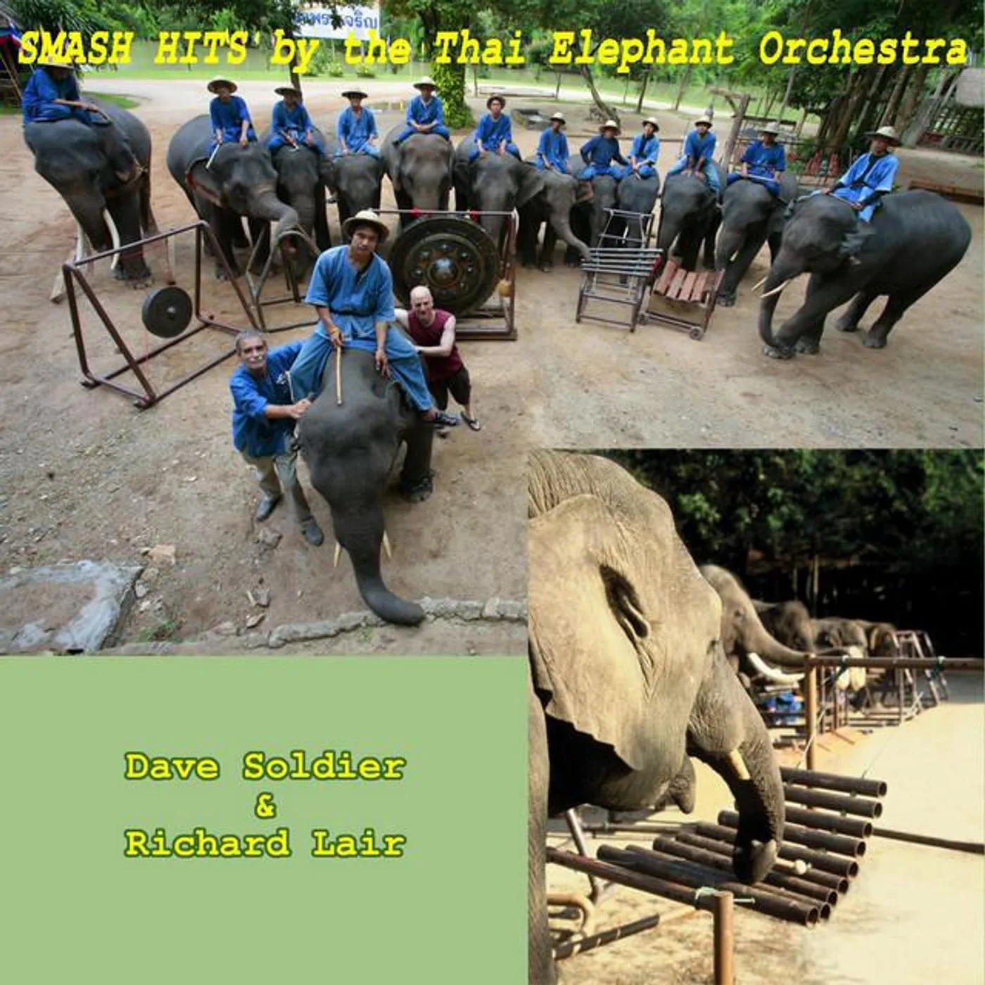 Thai Elephant Orchestra Brand Page
