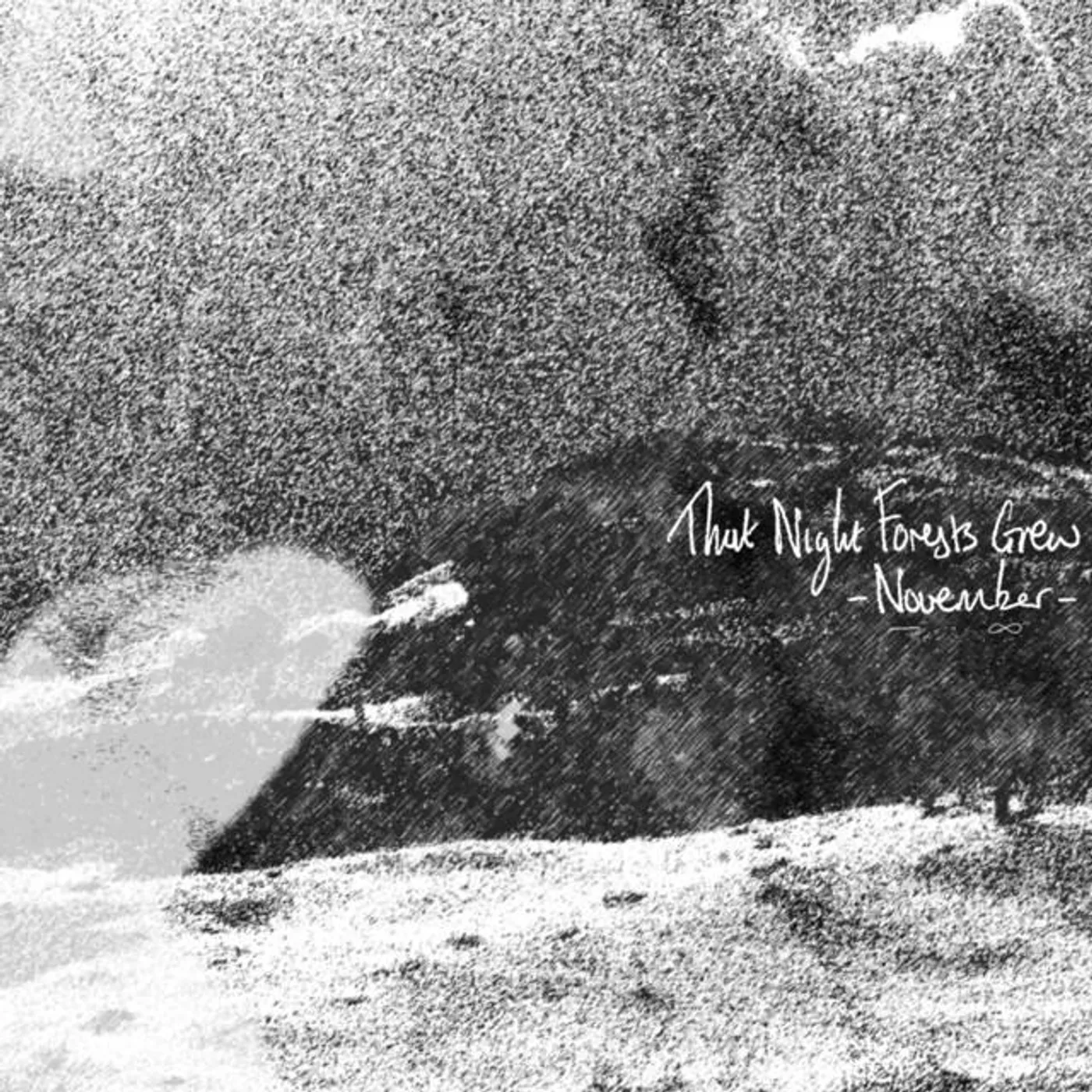 That Night Forests Grew Brand Page