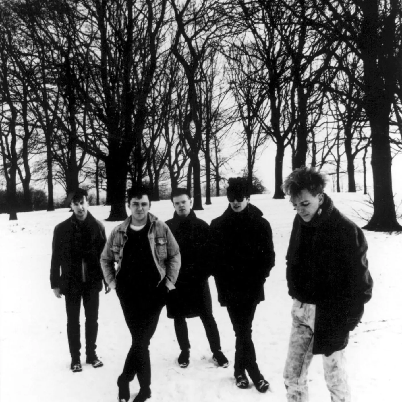 That Petrol Emotion Brand Page