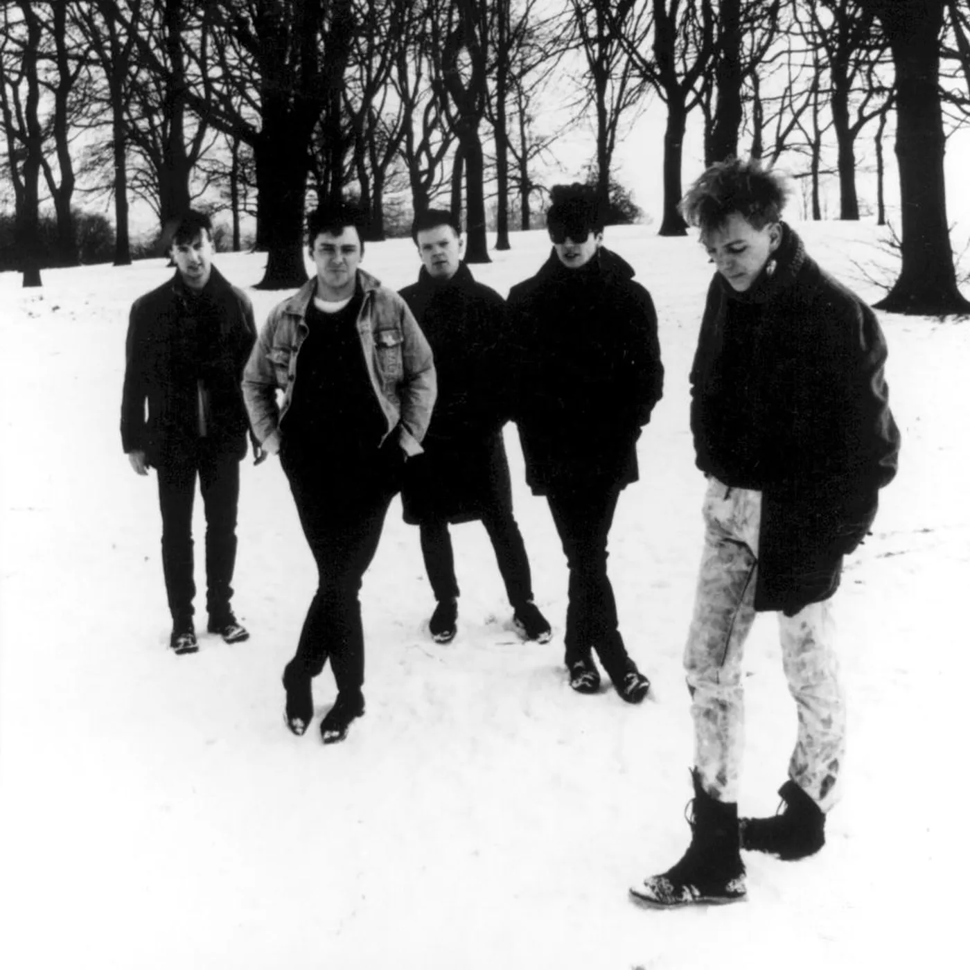 That Petrol Emotion Brand Page