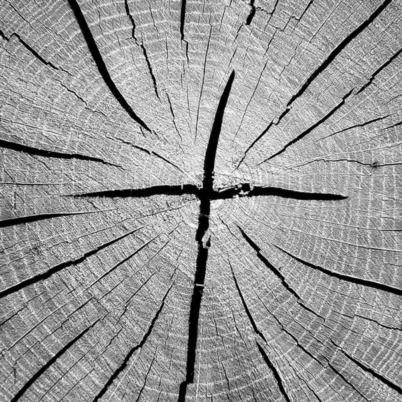 That's Why Brand Page