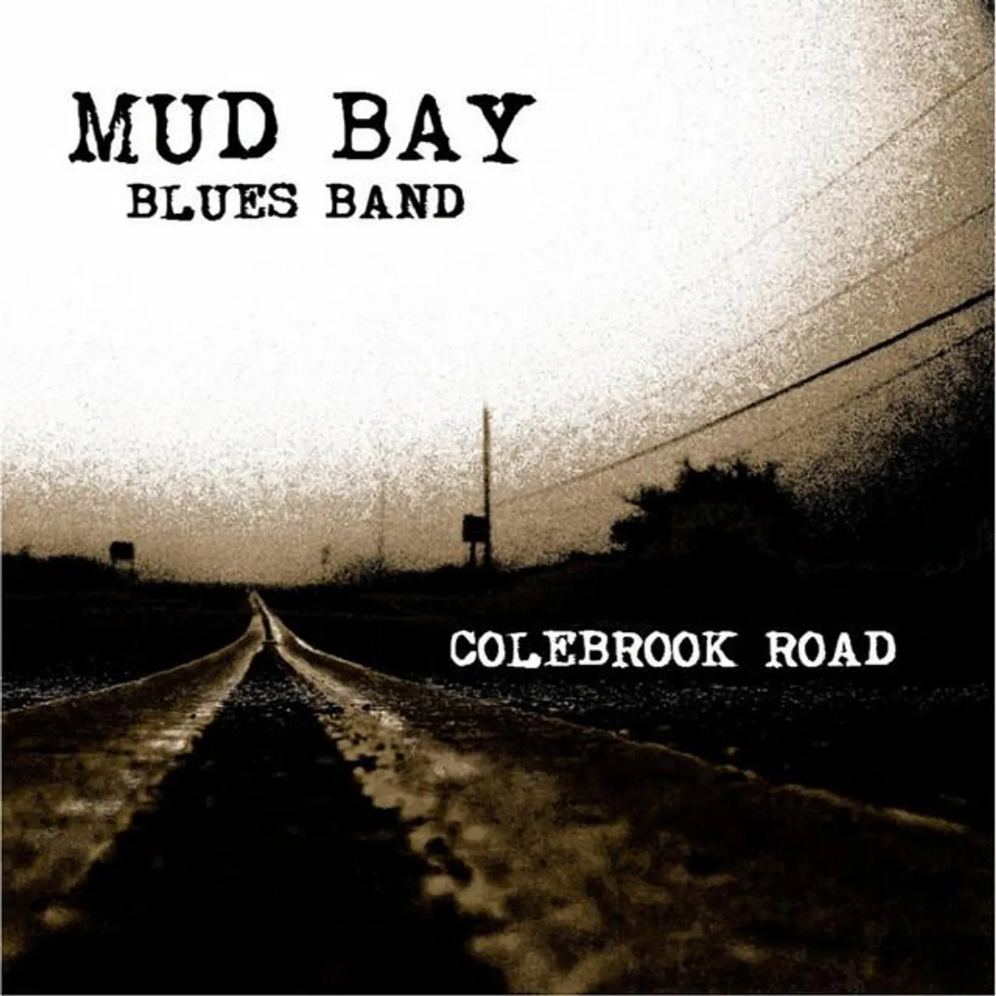 The Mud Bay Blues Band