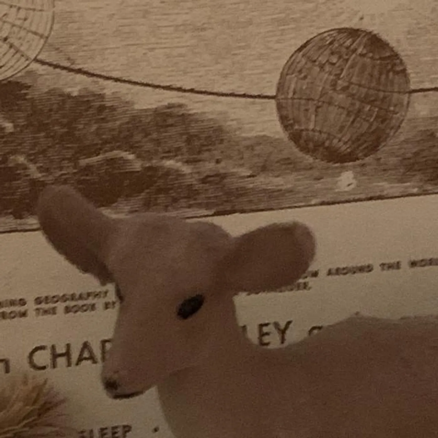 The Music Tapes Present: Songs of the Orbiting Human Circus