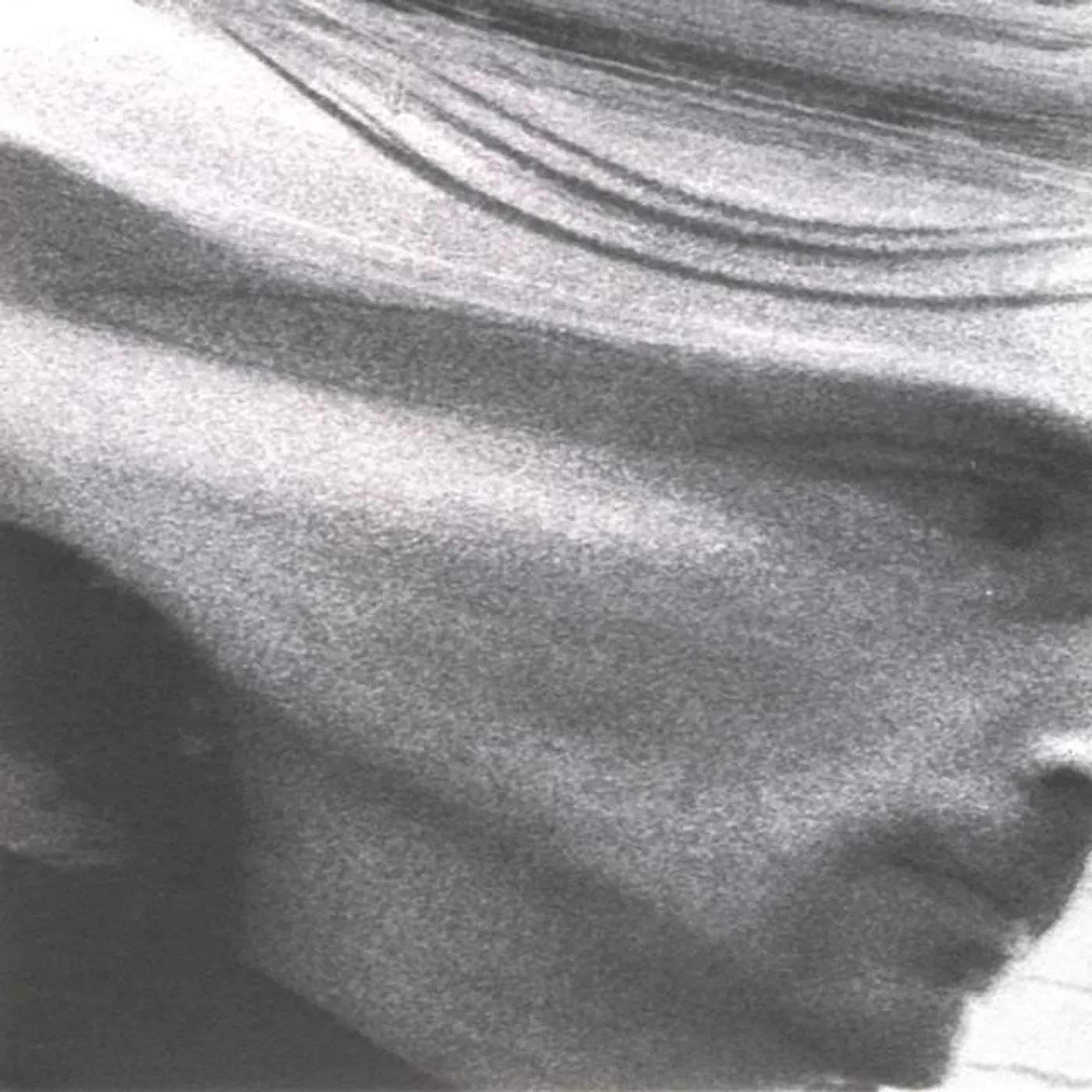 The Michael Flower Band Brand Page