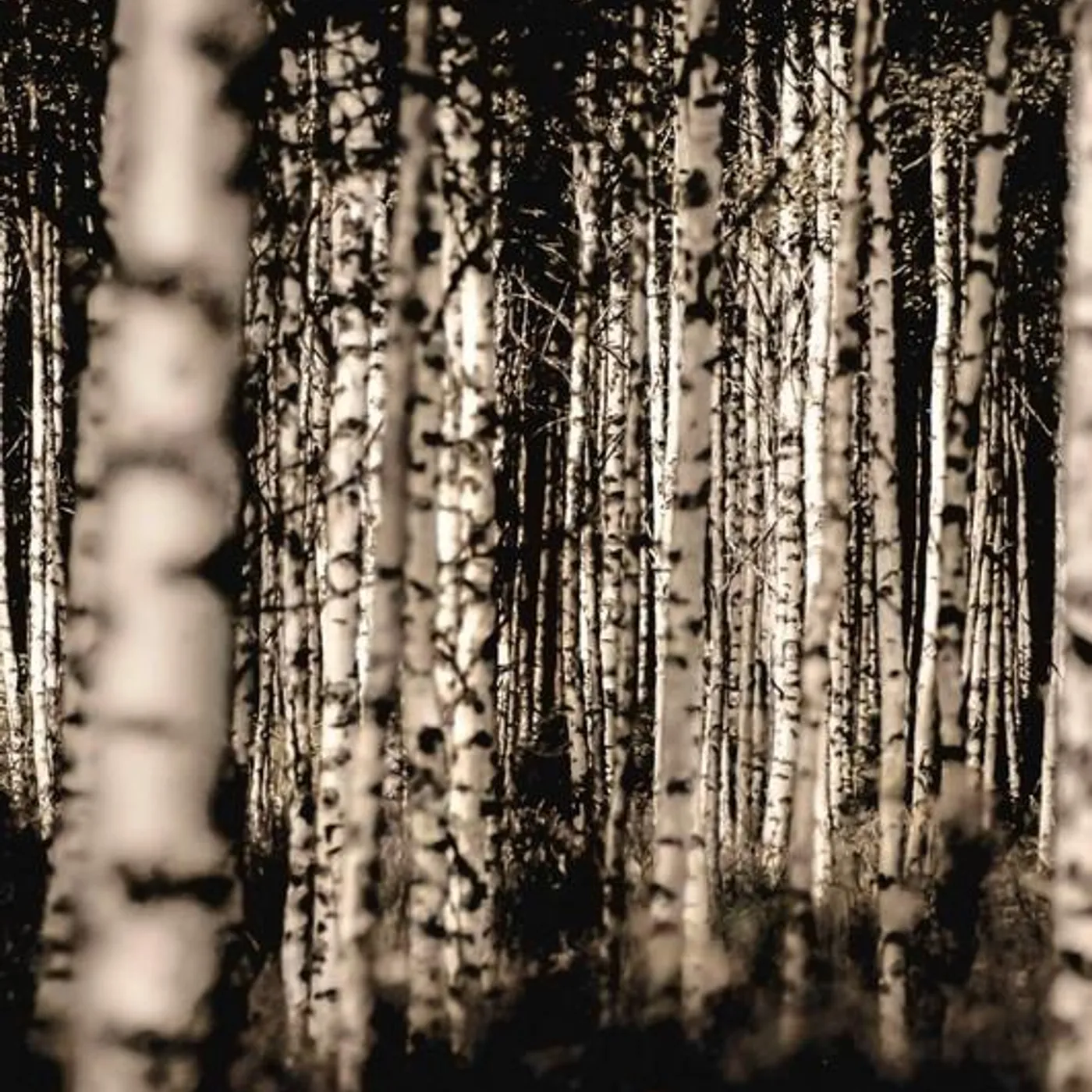 The National Anthems