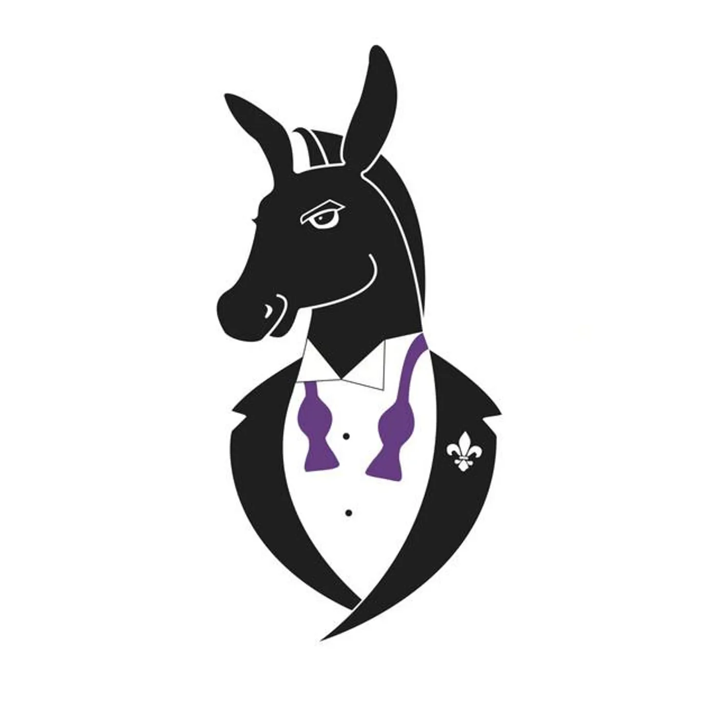 The New Orleans Swamp Donkeys Traditional Jass Band