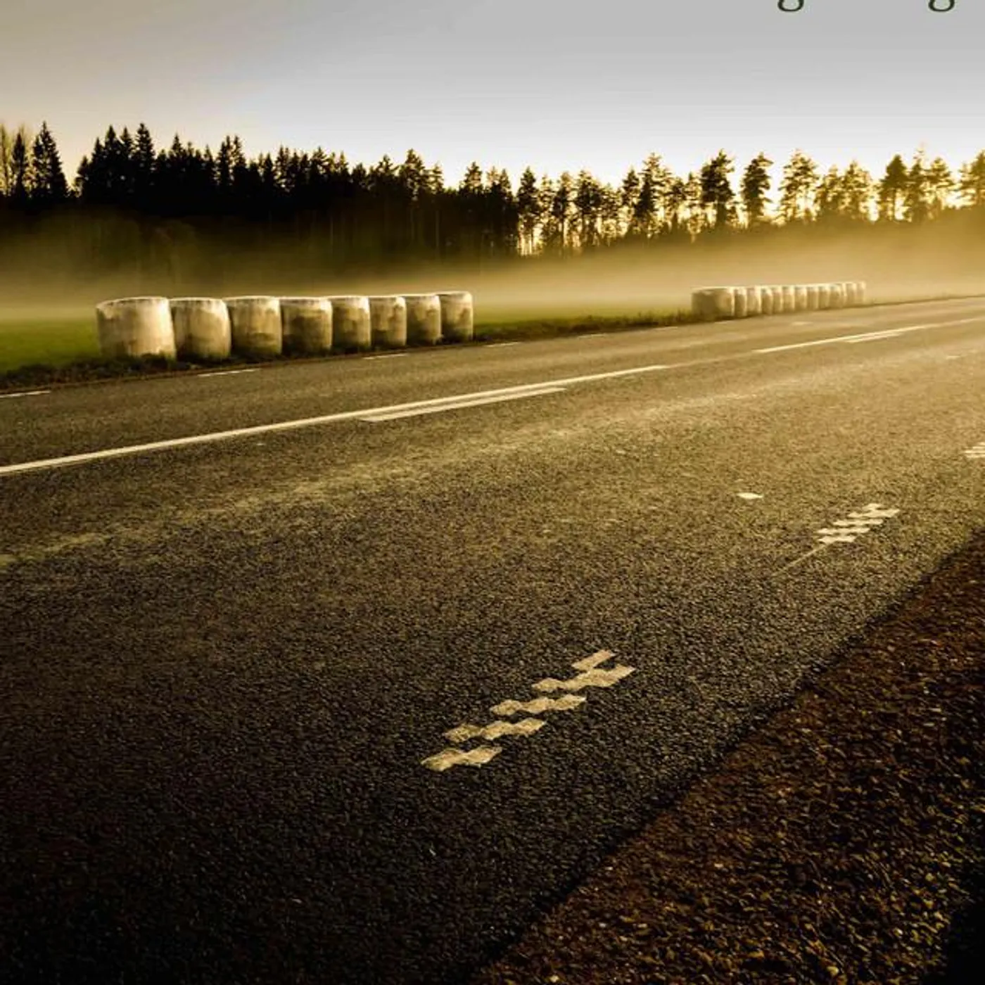 The Northern East Brand Page