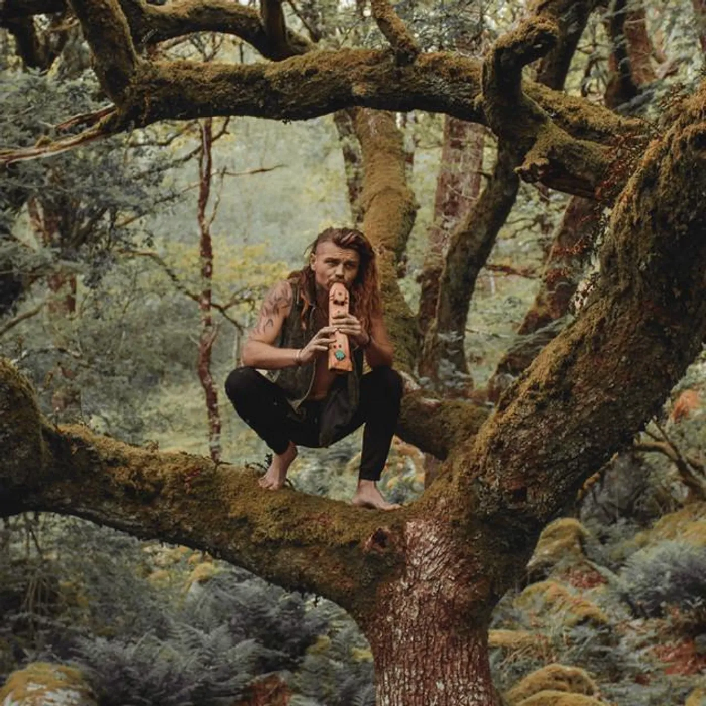 The Northern Poet Brand Page