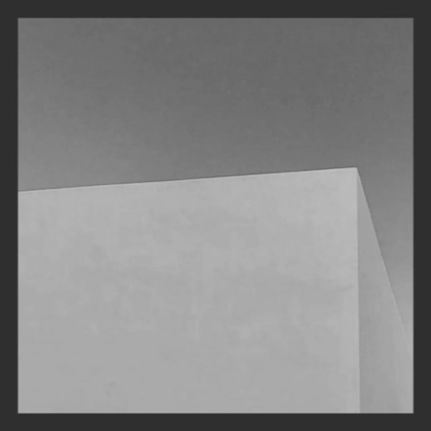 The Not Popular Adults