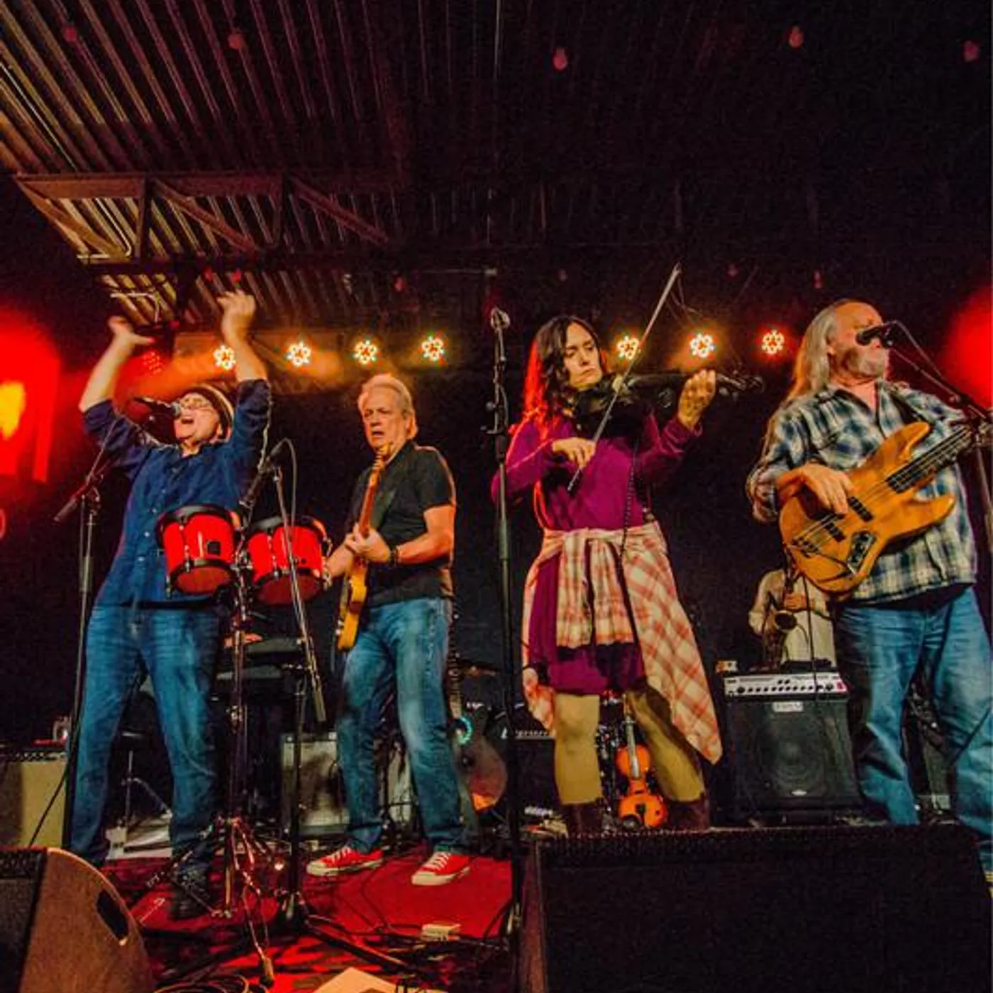 The Ozark Mountain Daredevils Brand Page