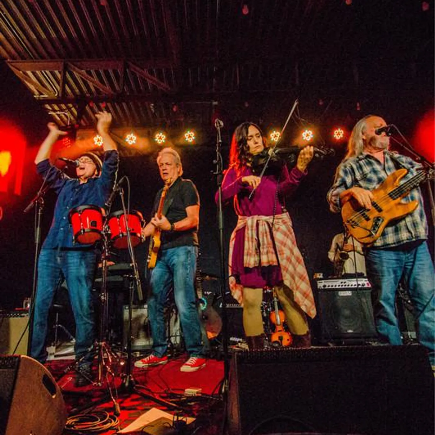 The Ozark Mountain Daredevils Brand Page