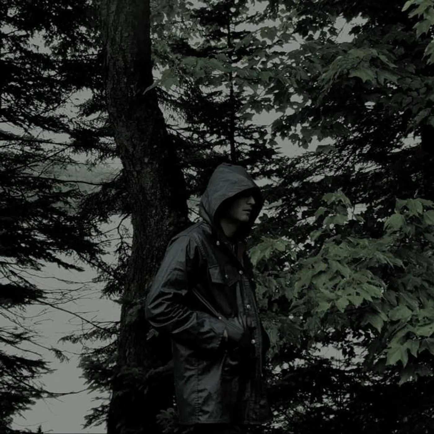 The Ocular Audio Experiment