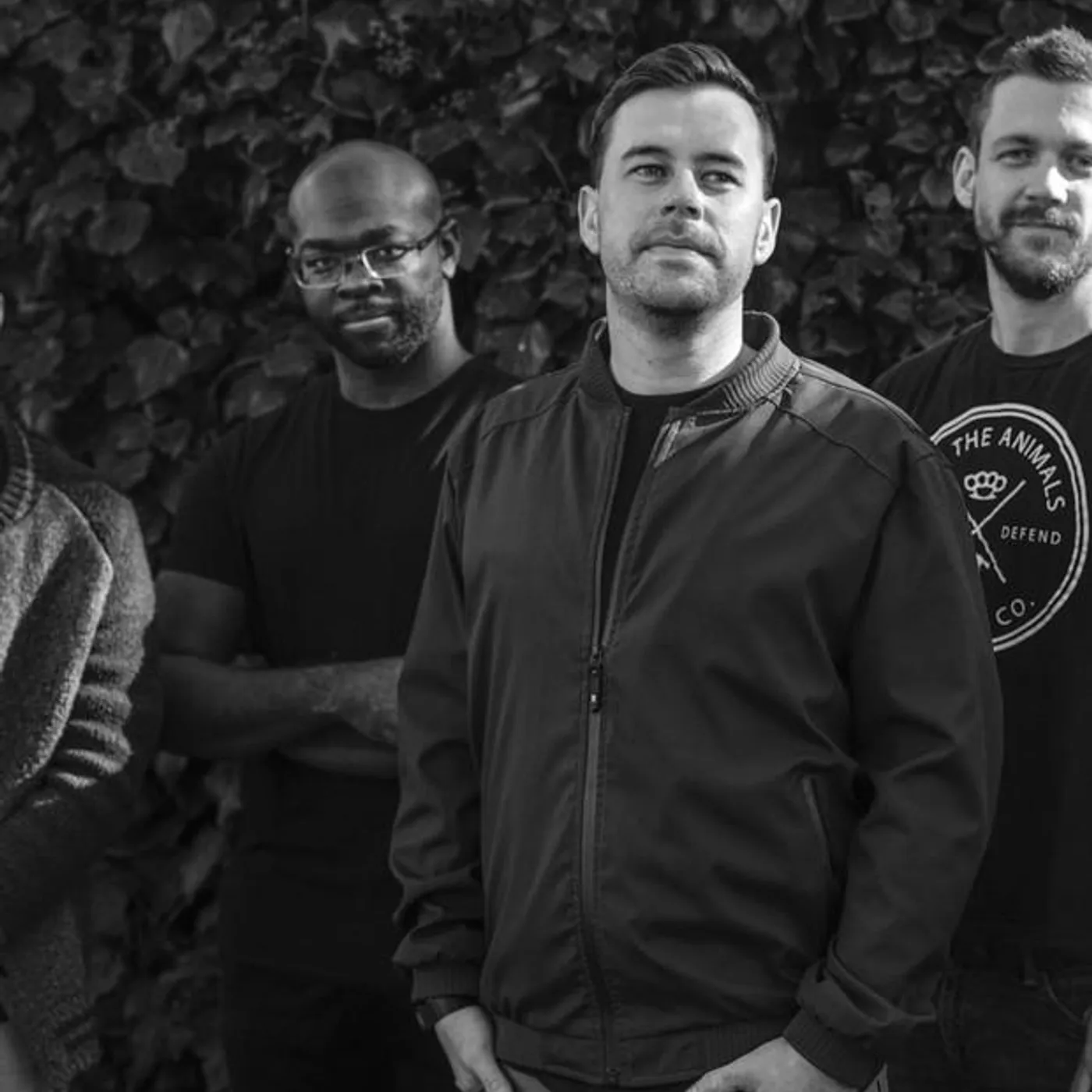 The Olés Brand Page