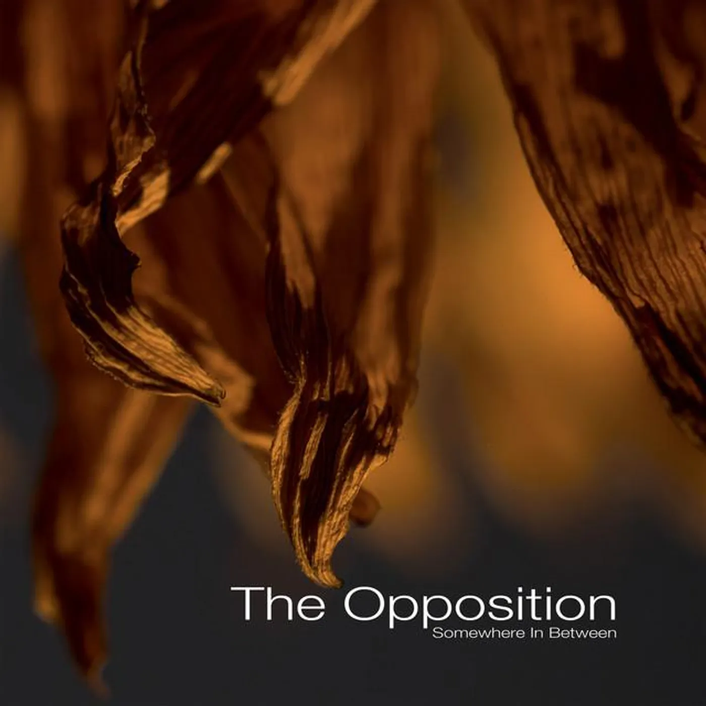 The Opposition