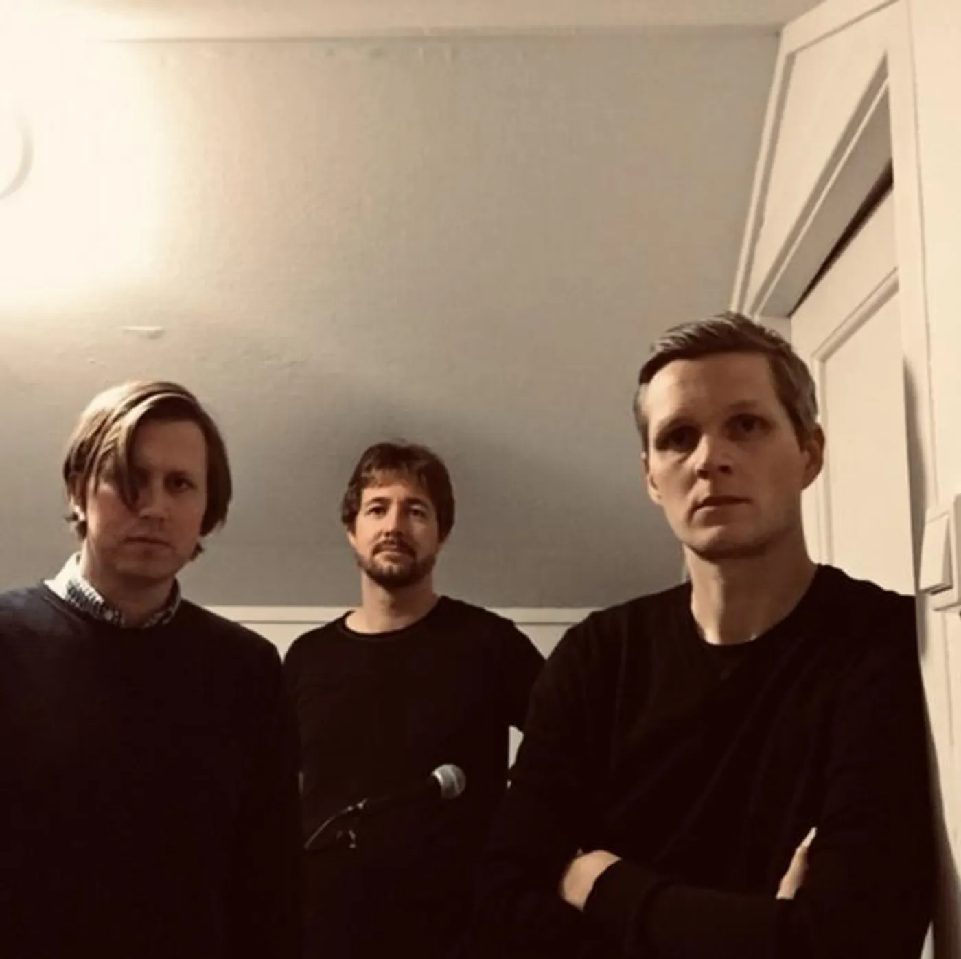 The Age of Colored Lizards