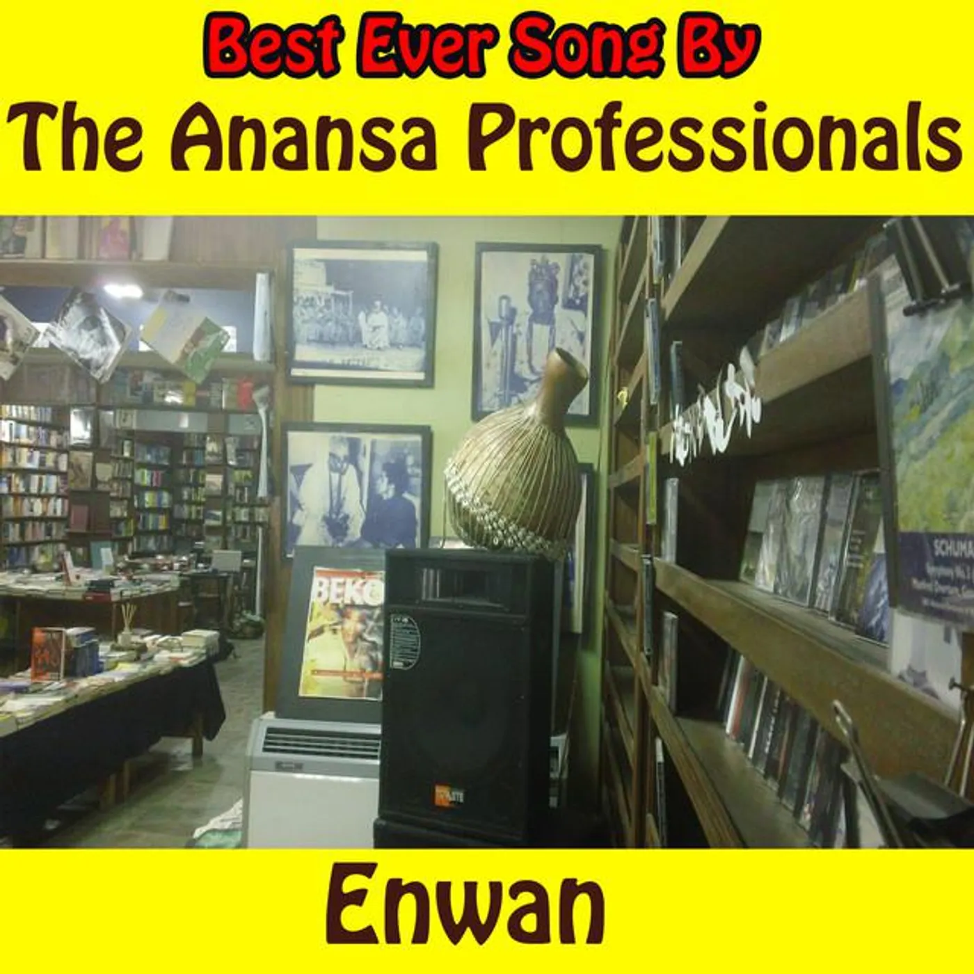 The Anansa Professionals