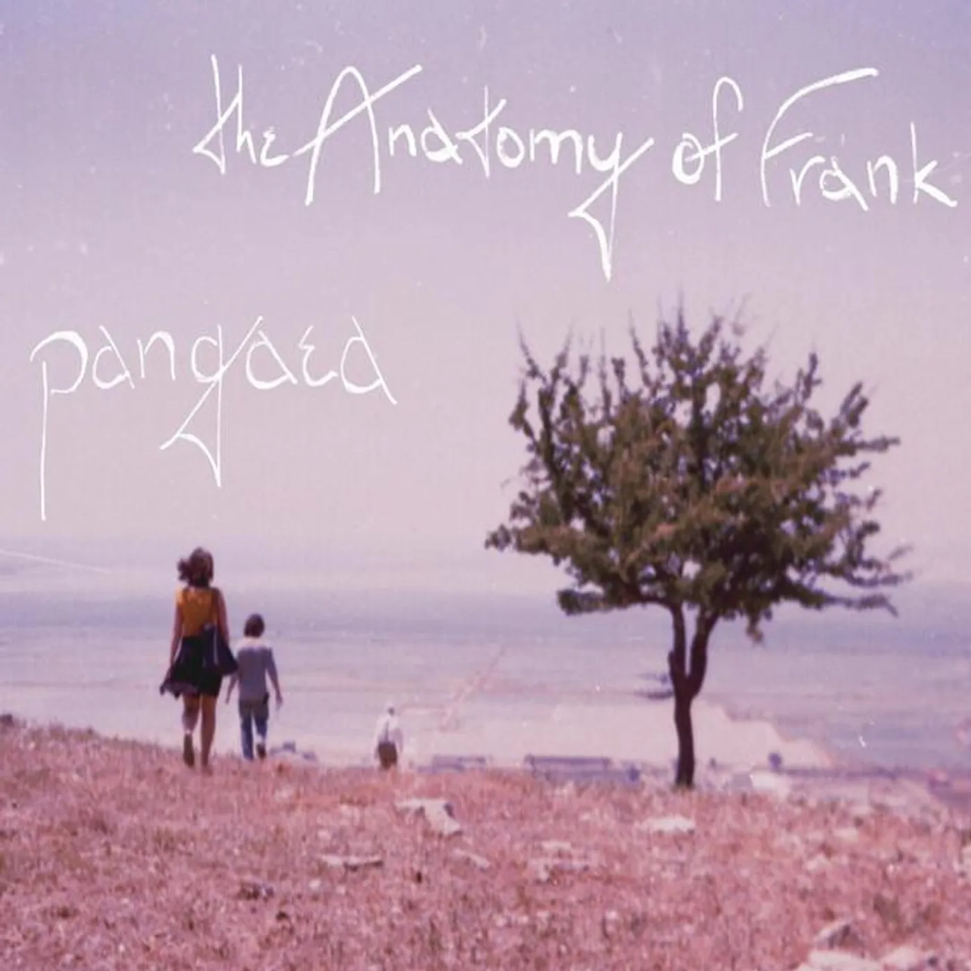 The Anatomy of Frank