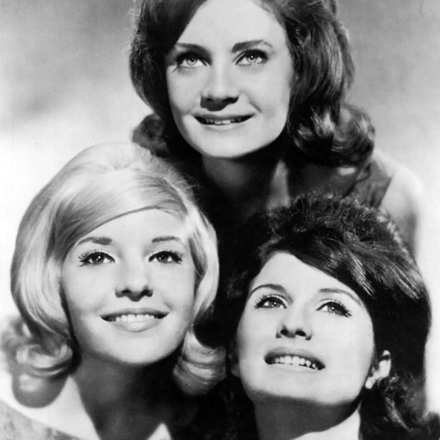 The Angels Brand Page