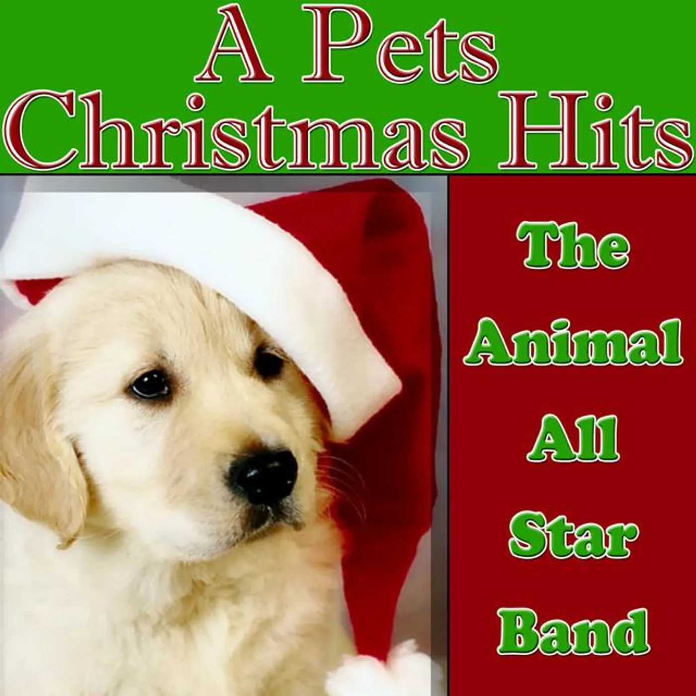 The Animal All Star Band