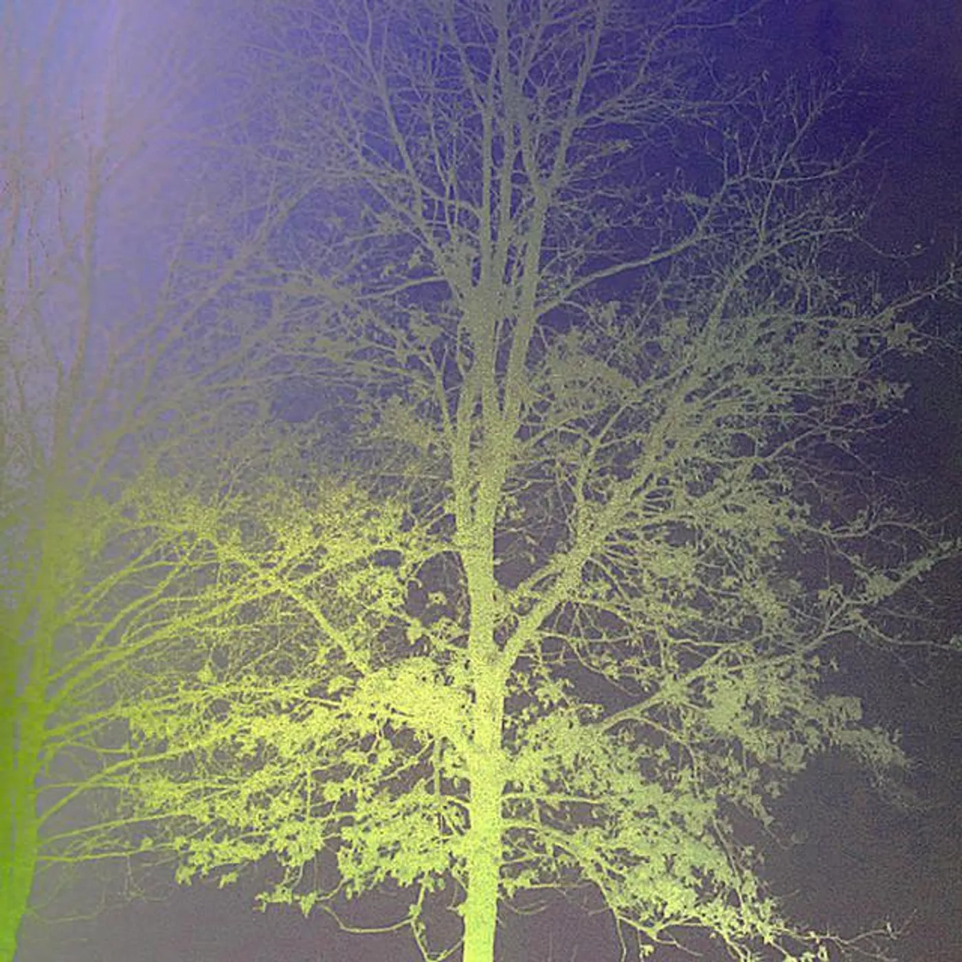 The Beremy Jets Brand Page